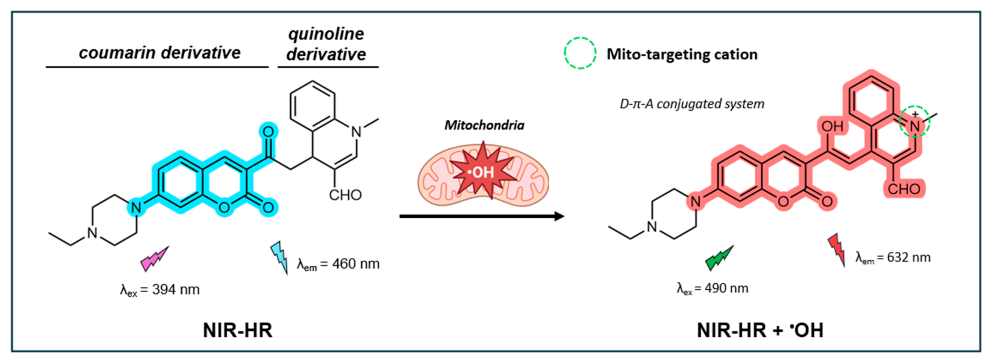 Antioxidants 14 00079 g007