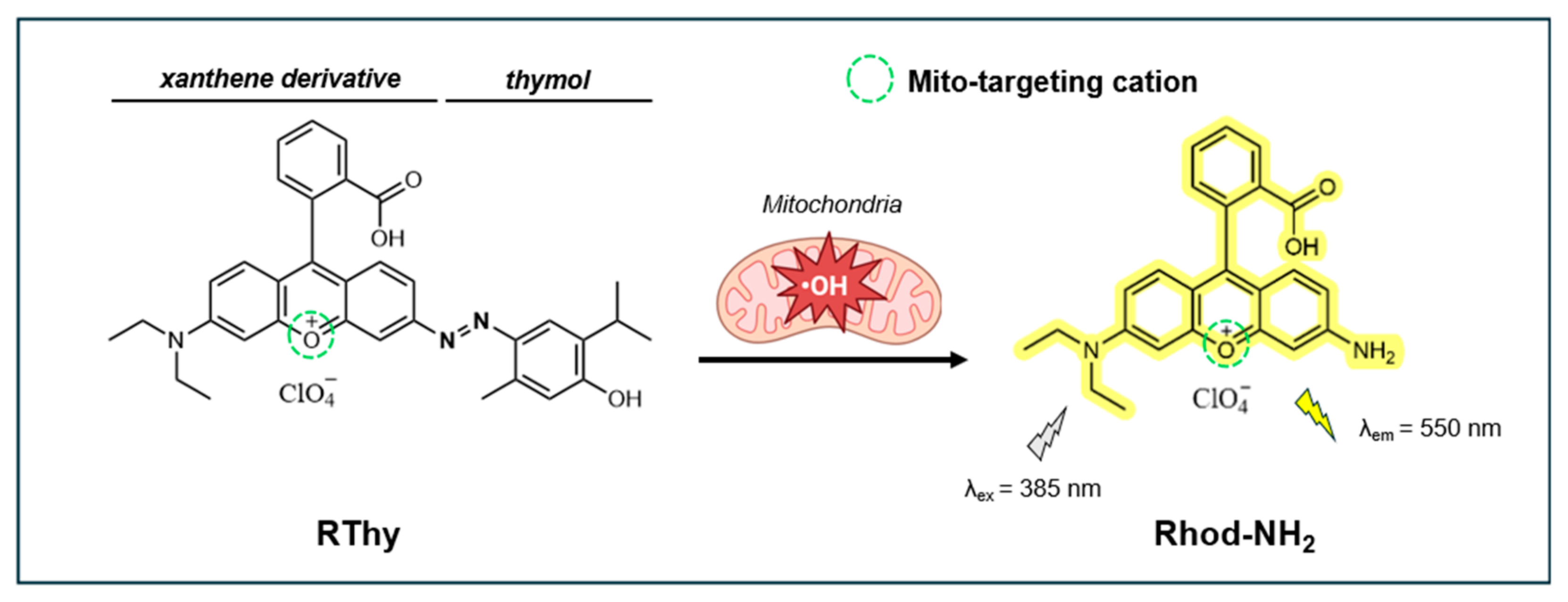 Antioxidants 14 00079 g008