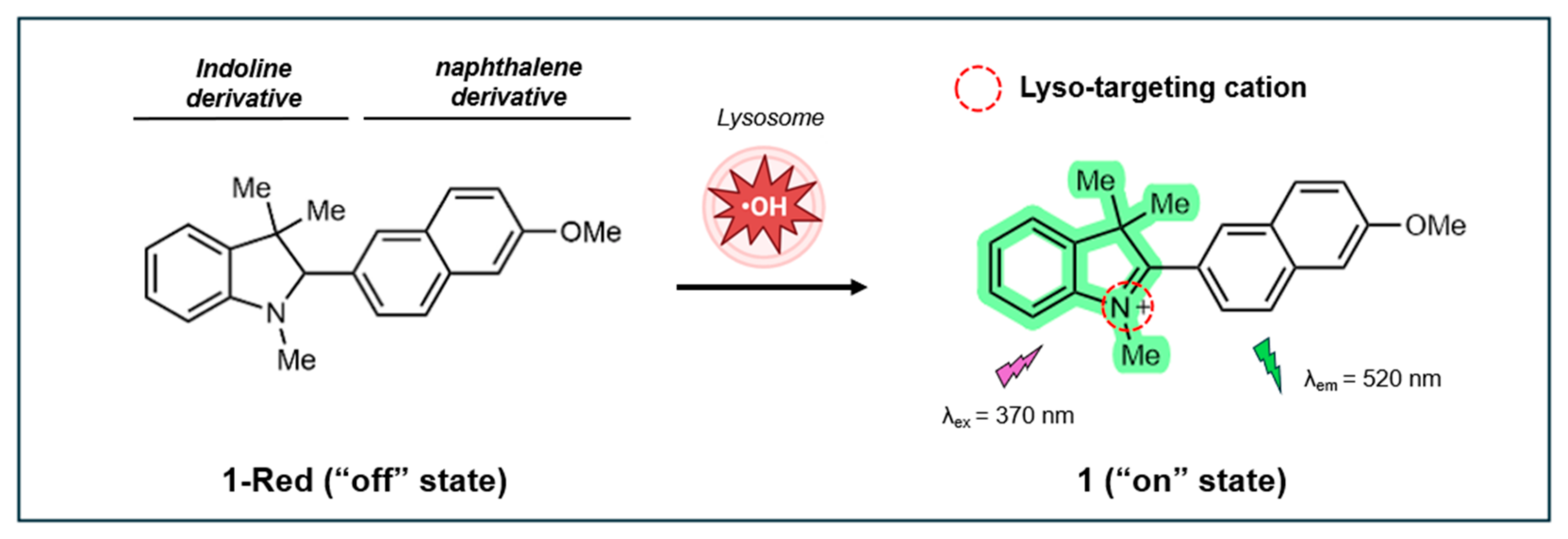 Antioxidants 14 00079 g009