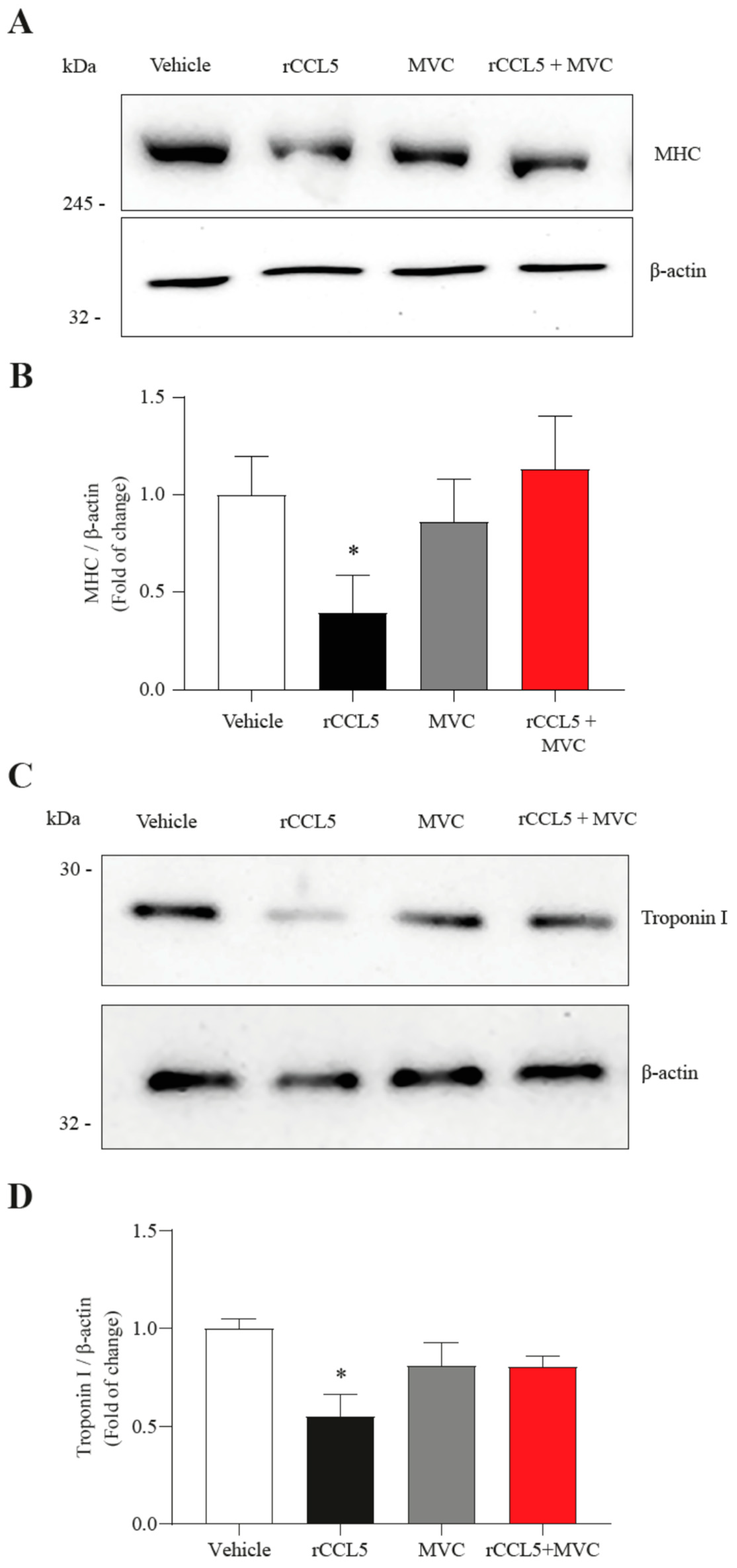 Antioxidants 14 00084 g003
