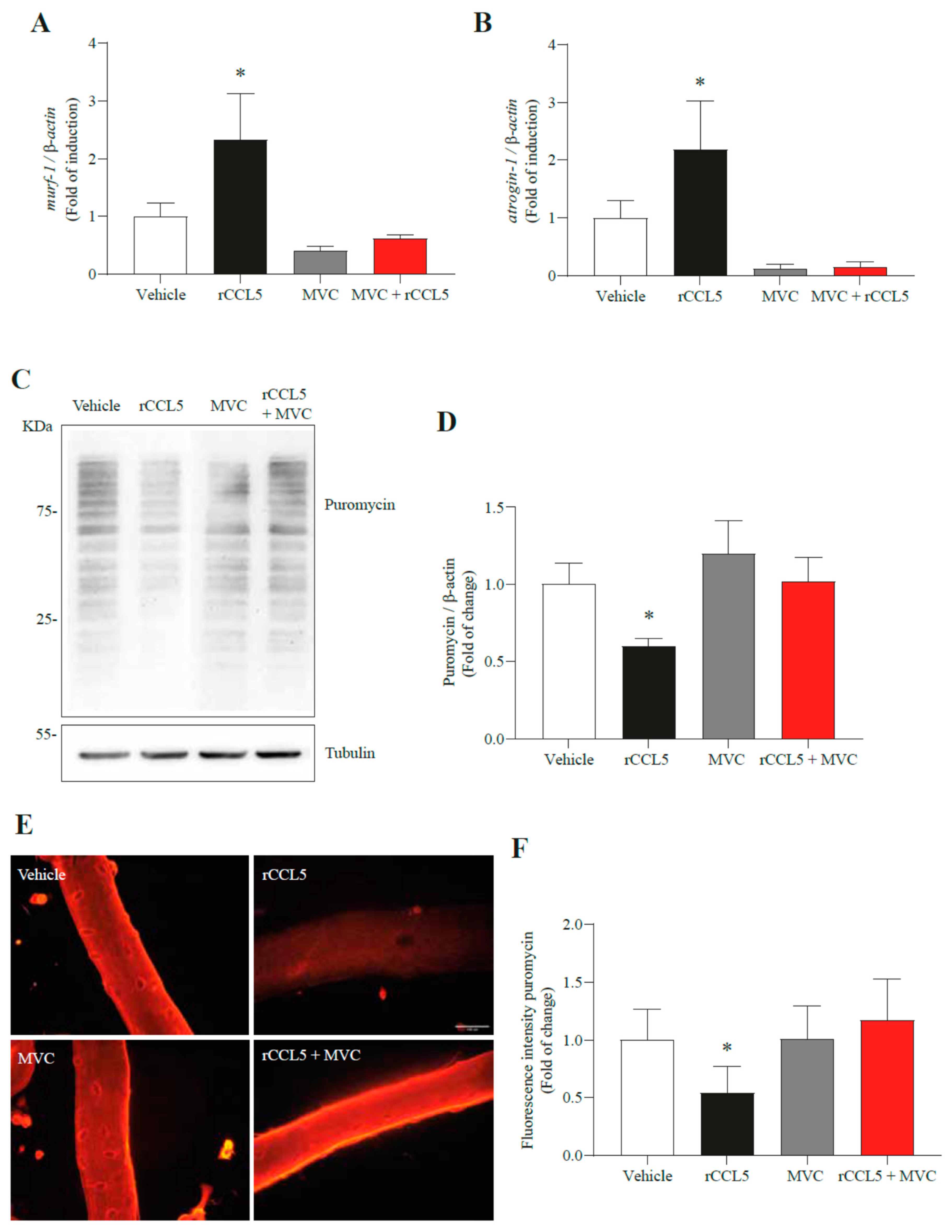 Antioxidants 14 00084 g004