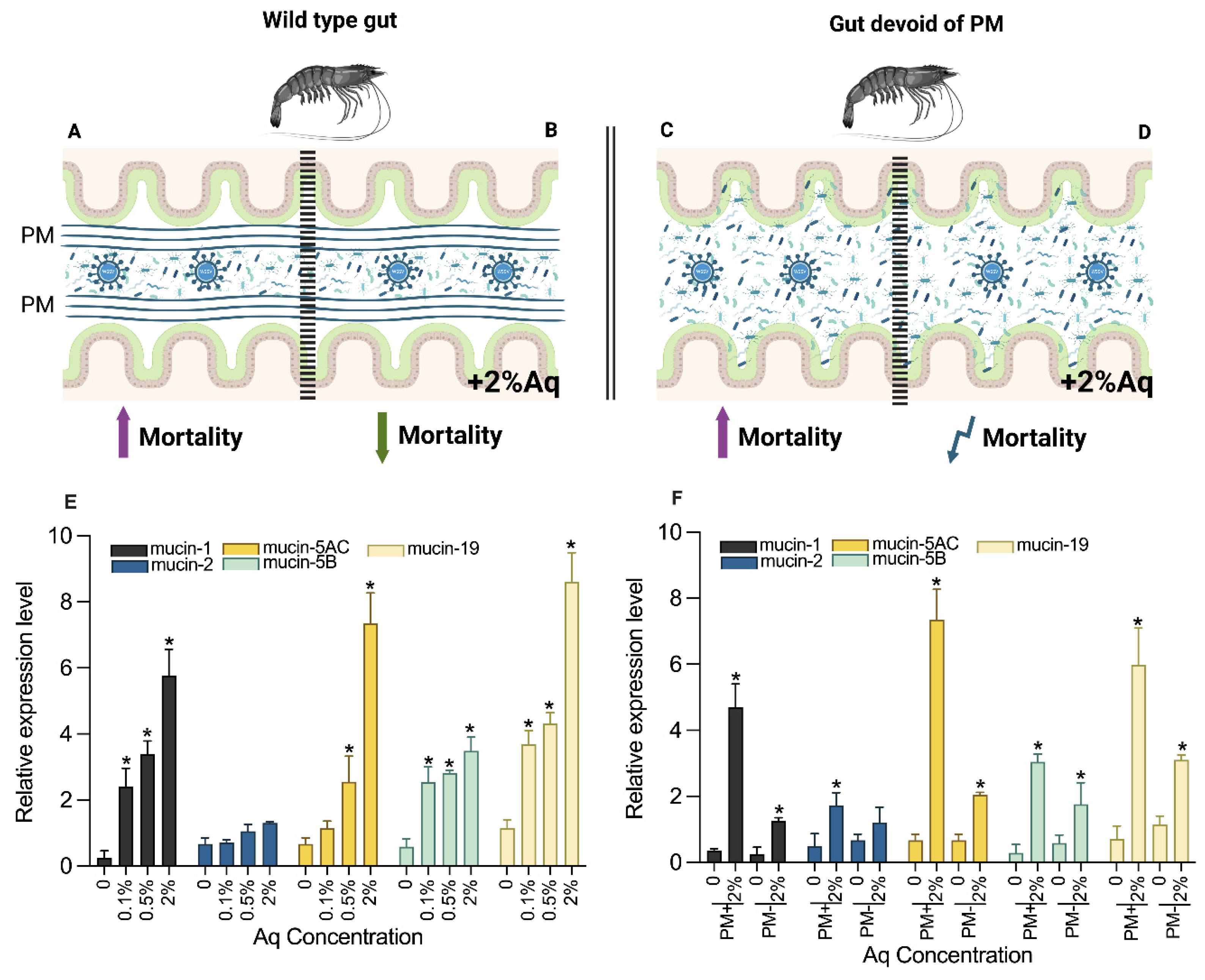 Antioxidants 14 00089 g004