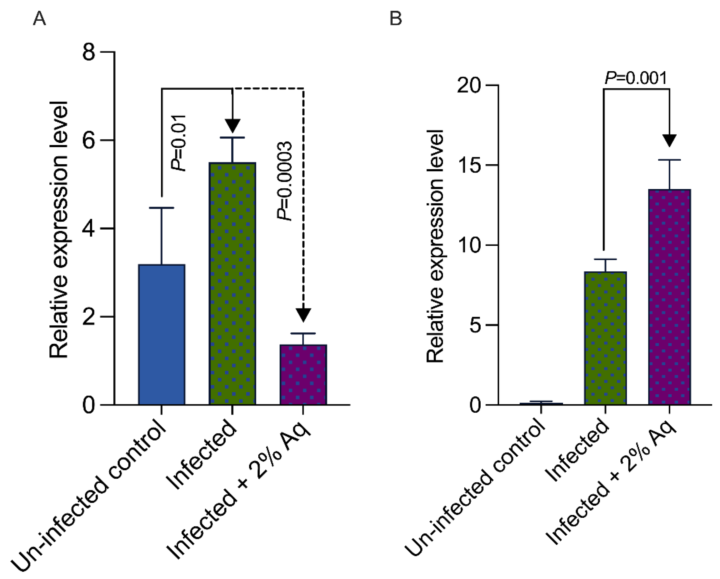 Antioxidants 14 00089 g006
