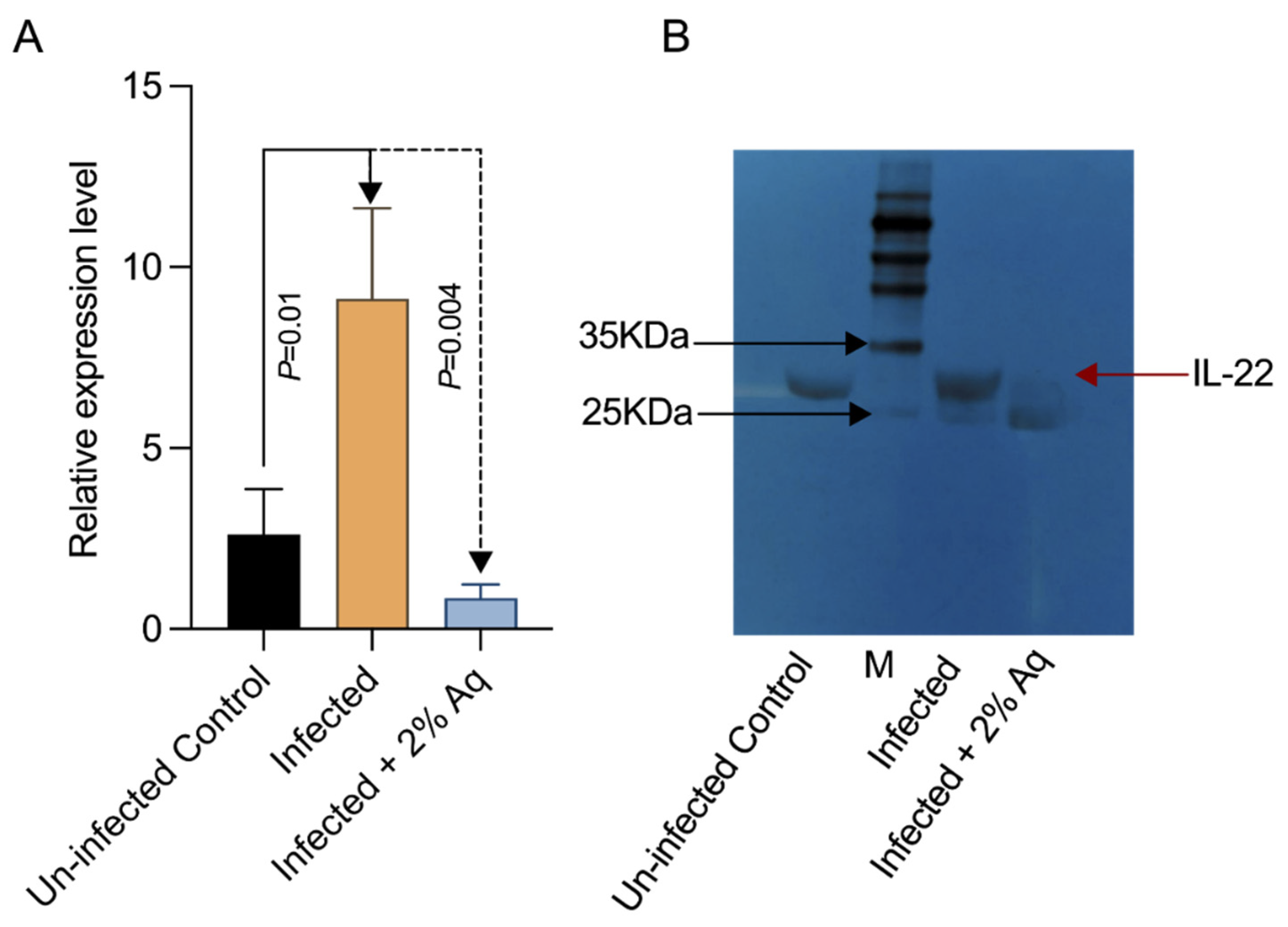 Antioxidants 14 00089 g008