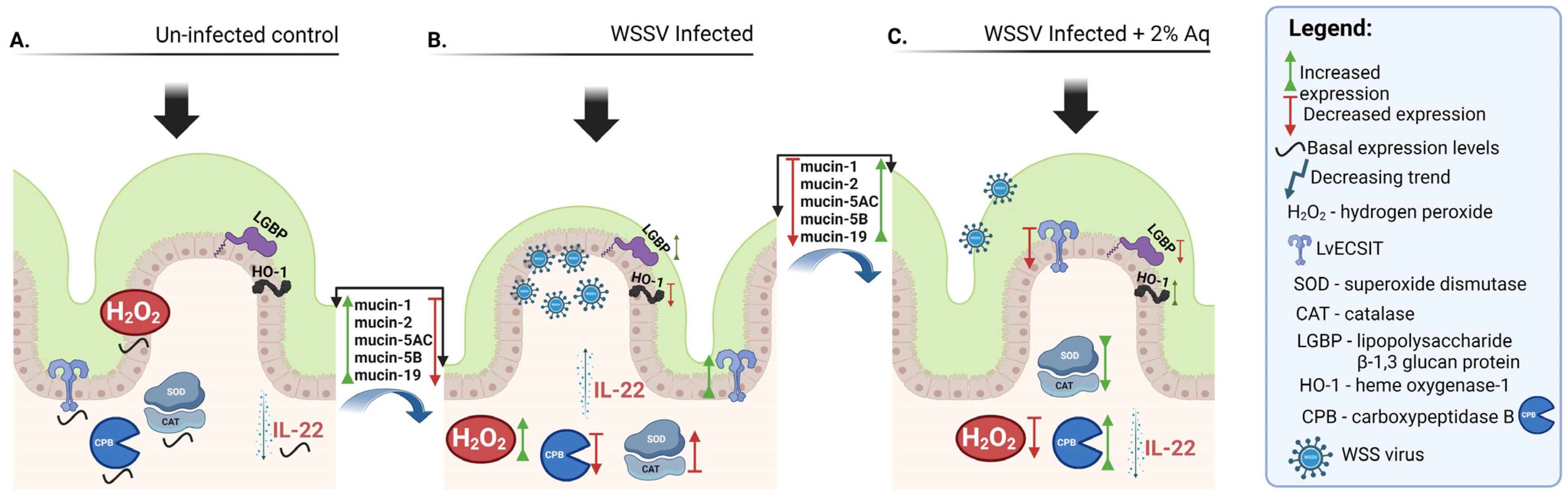 Antioxidants 14 00089 g010