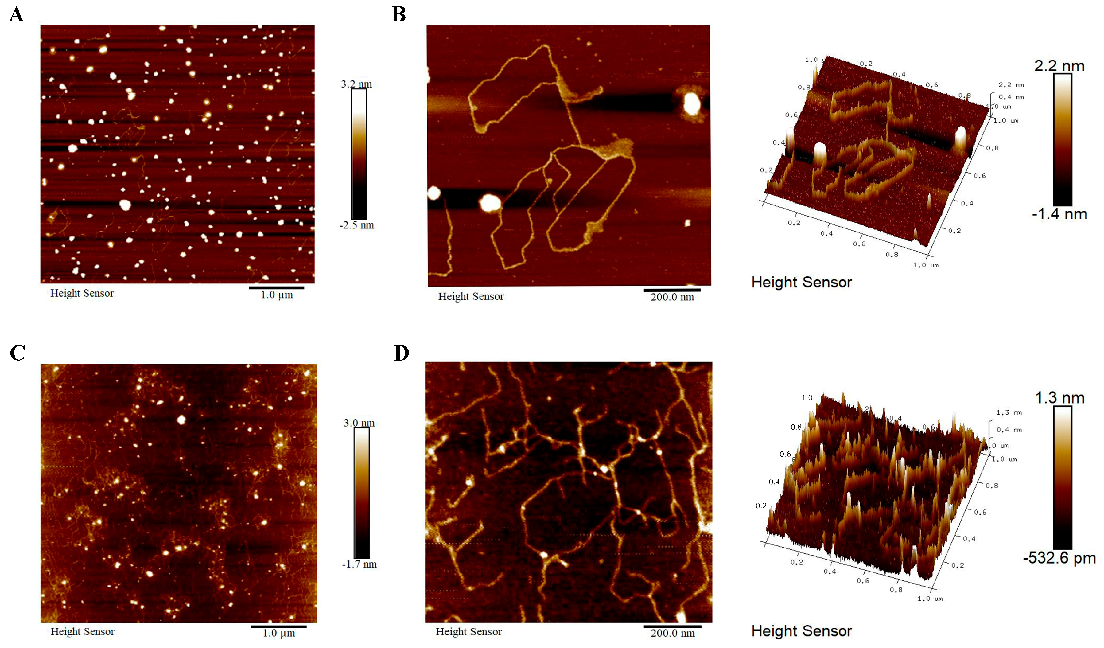 Antioxidants 14 00091 g003