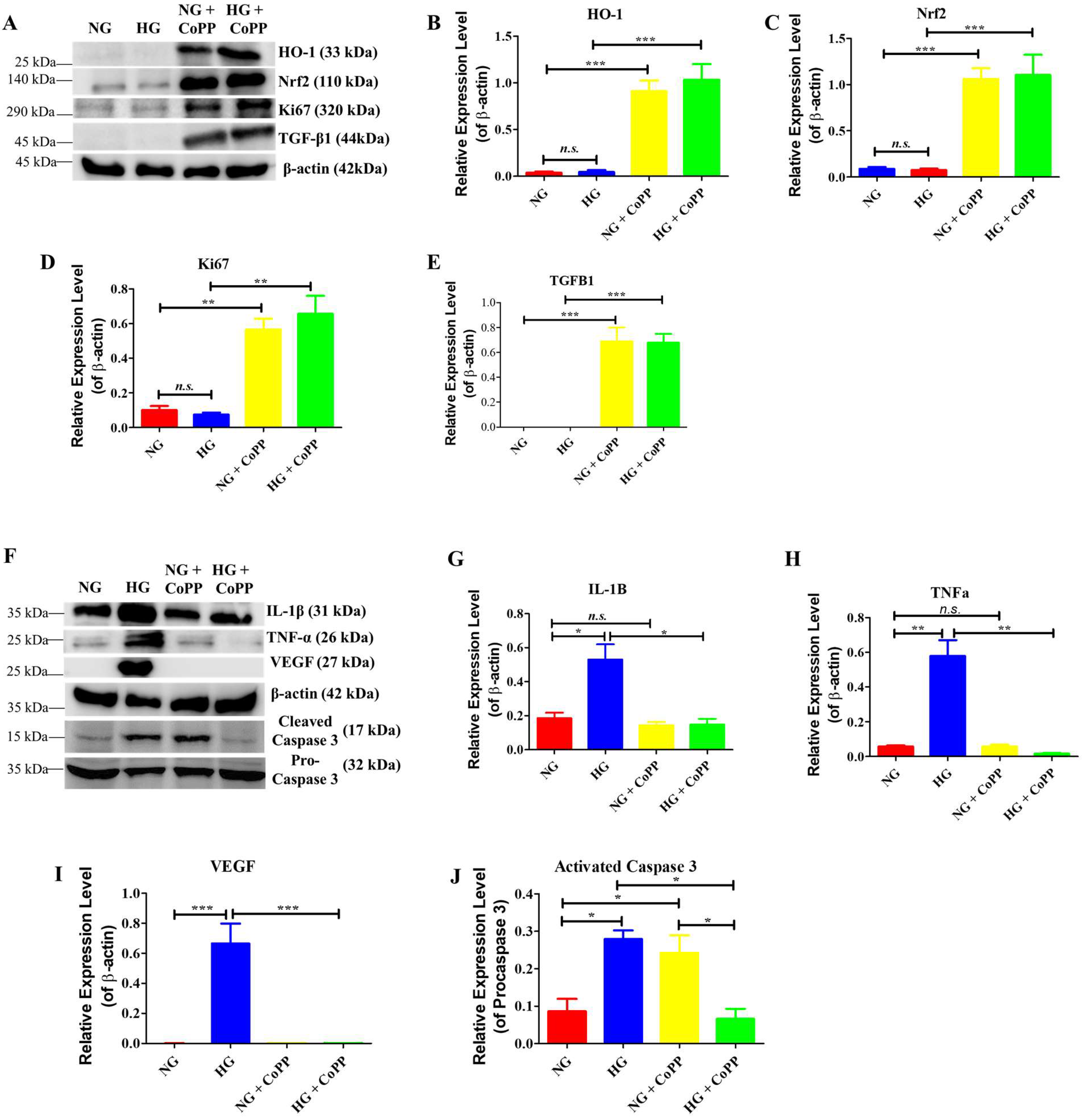 Antioxidants 14 00092 g003
