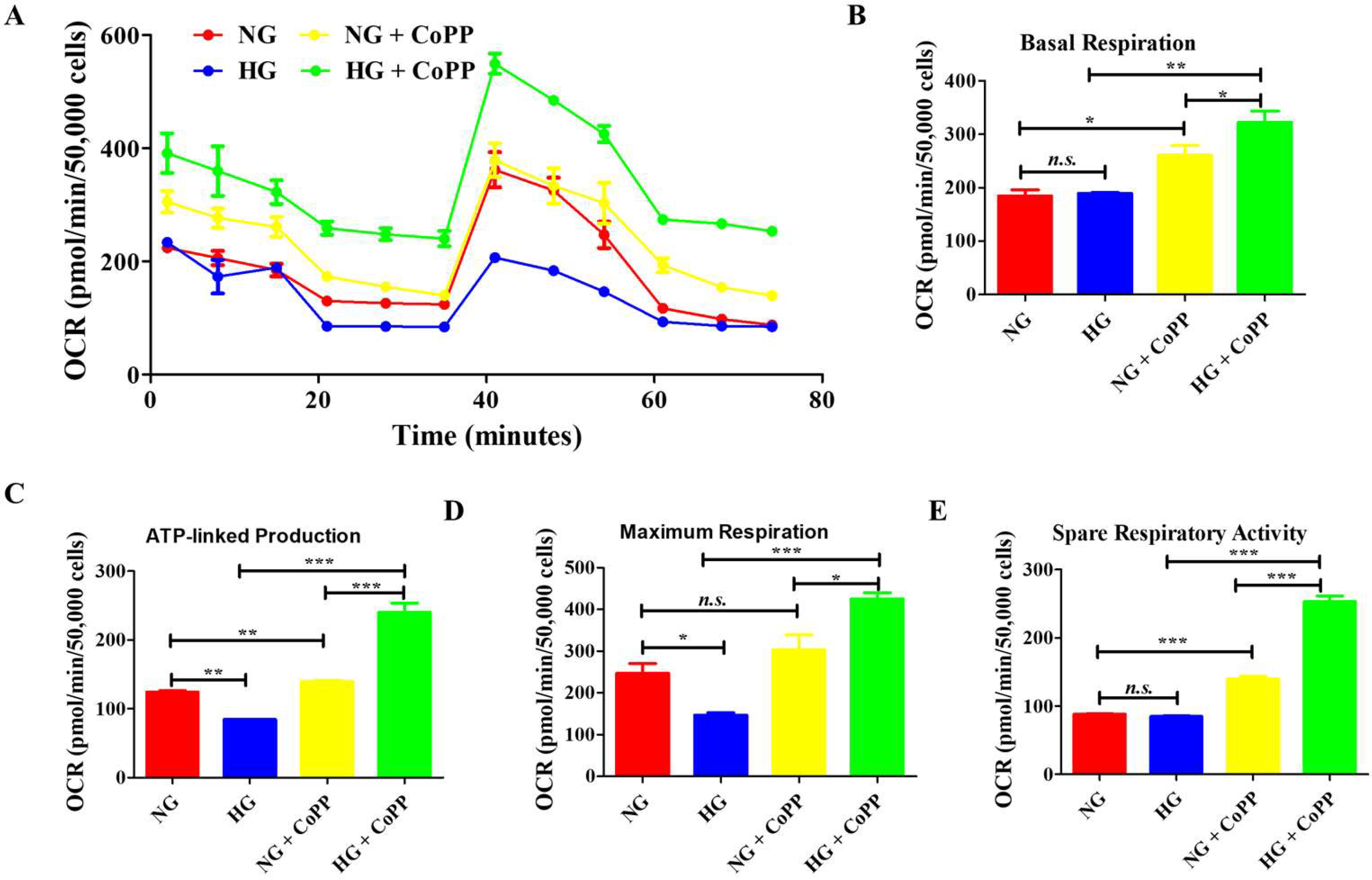 Antioxidants 14 00092 g005