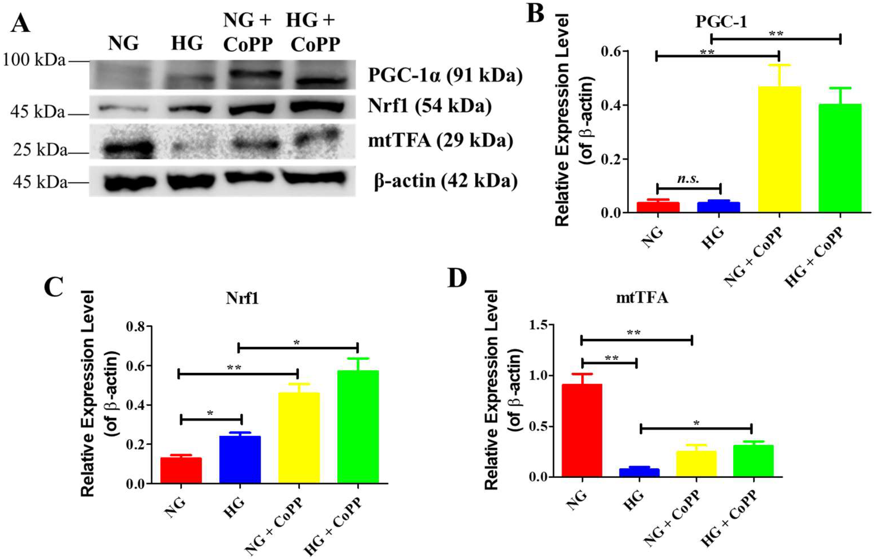 Antioxidants 14 00092 g006