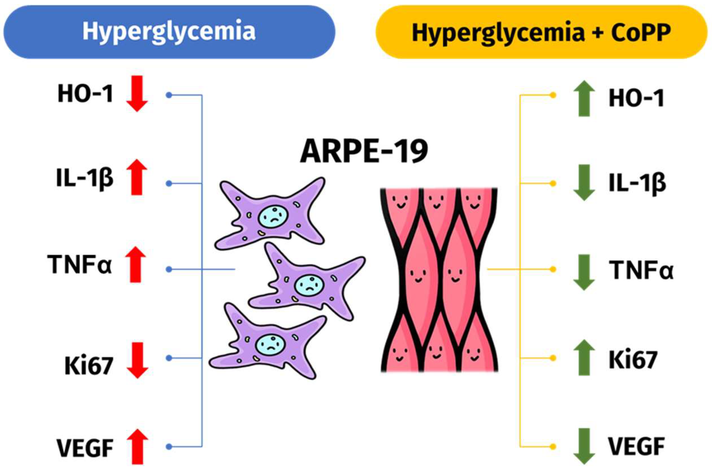 Antioxidants 14 00092 g007