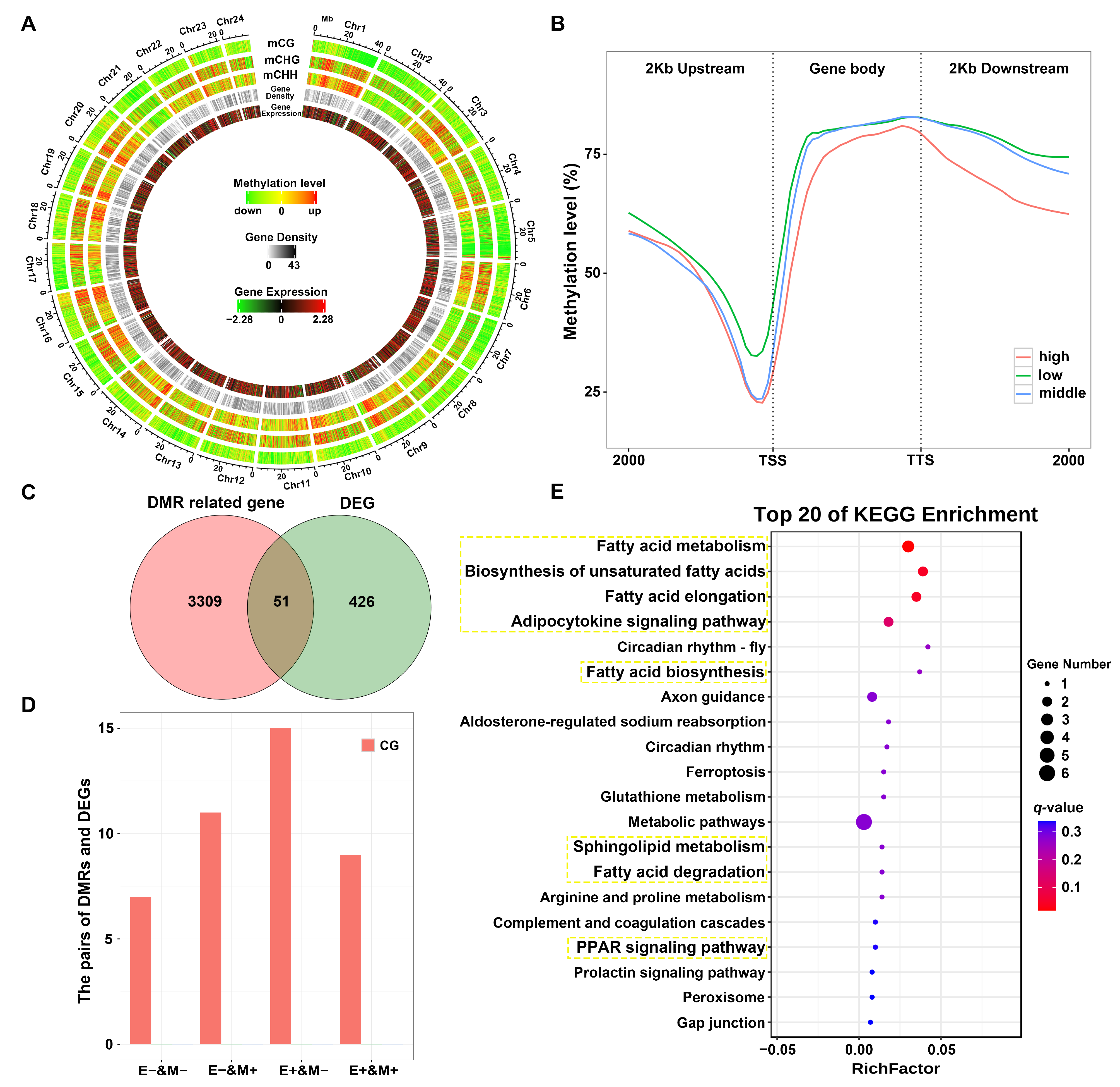 Antioxidants 14 00093 g004