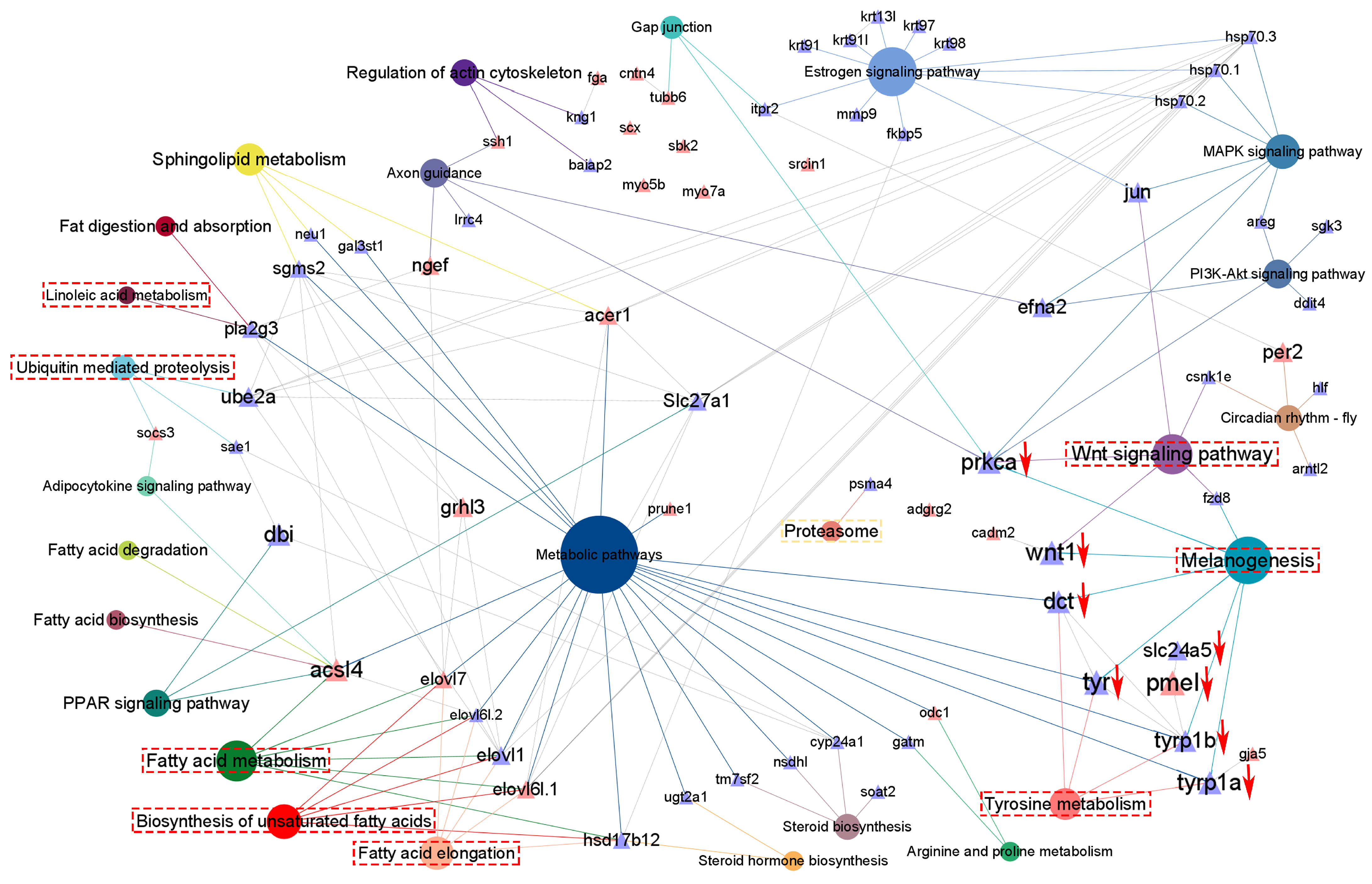 Antioxidants 14 00093 g006