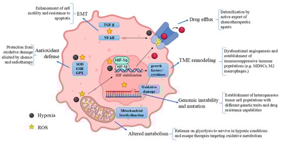 Antioxidants 14 00094 g001