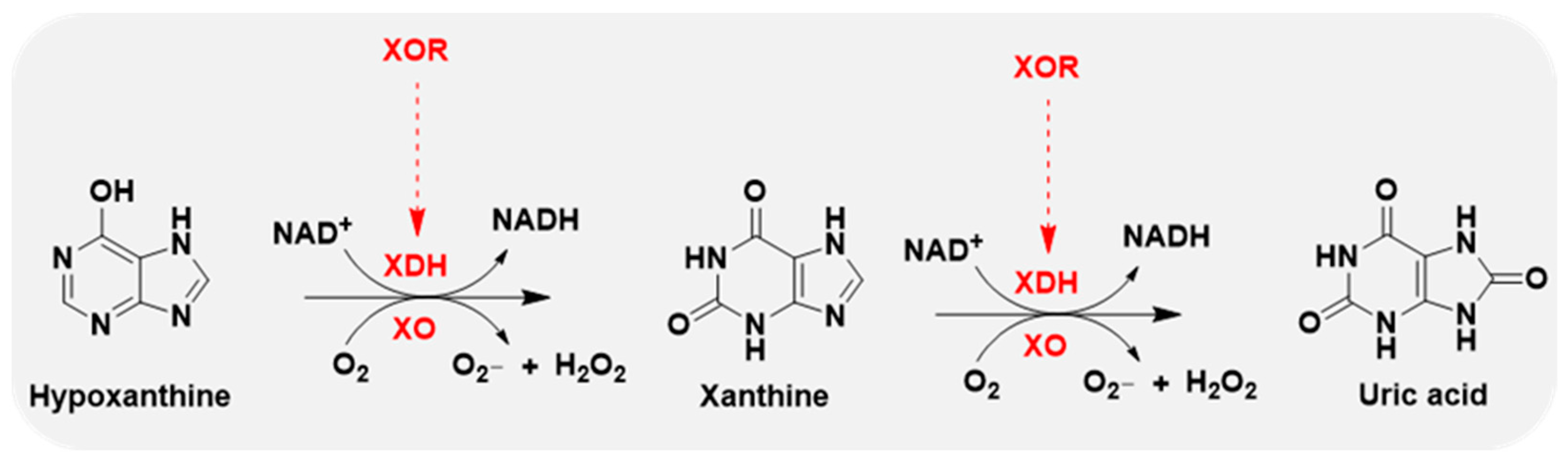 Antioxidants 14 00095 g002