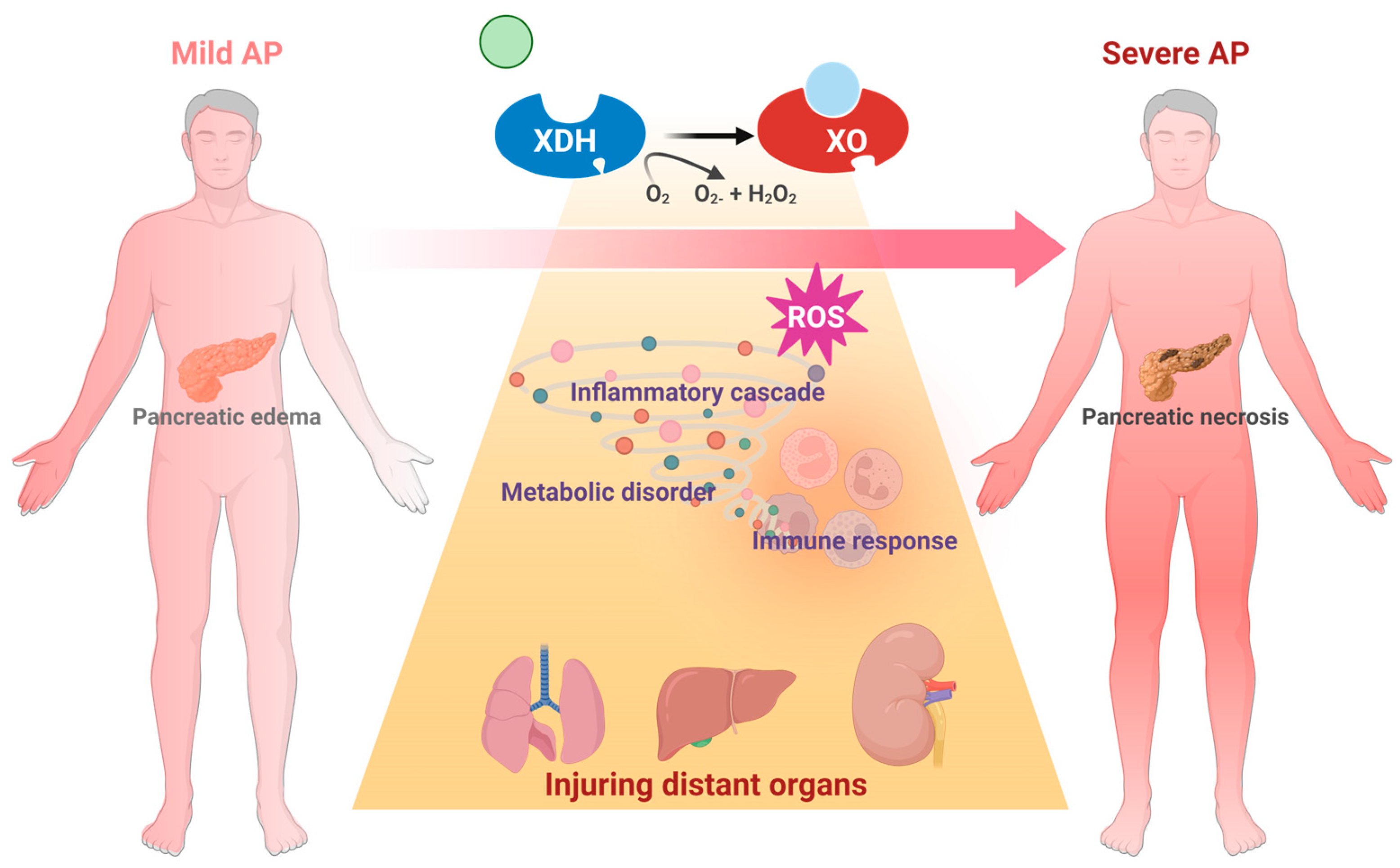 Antioxidants 14 00095 g005