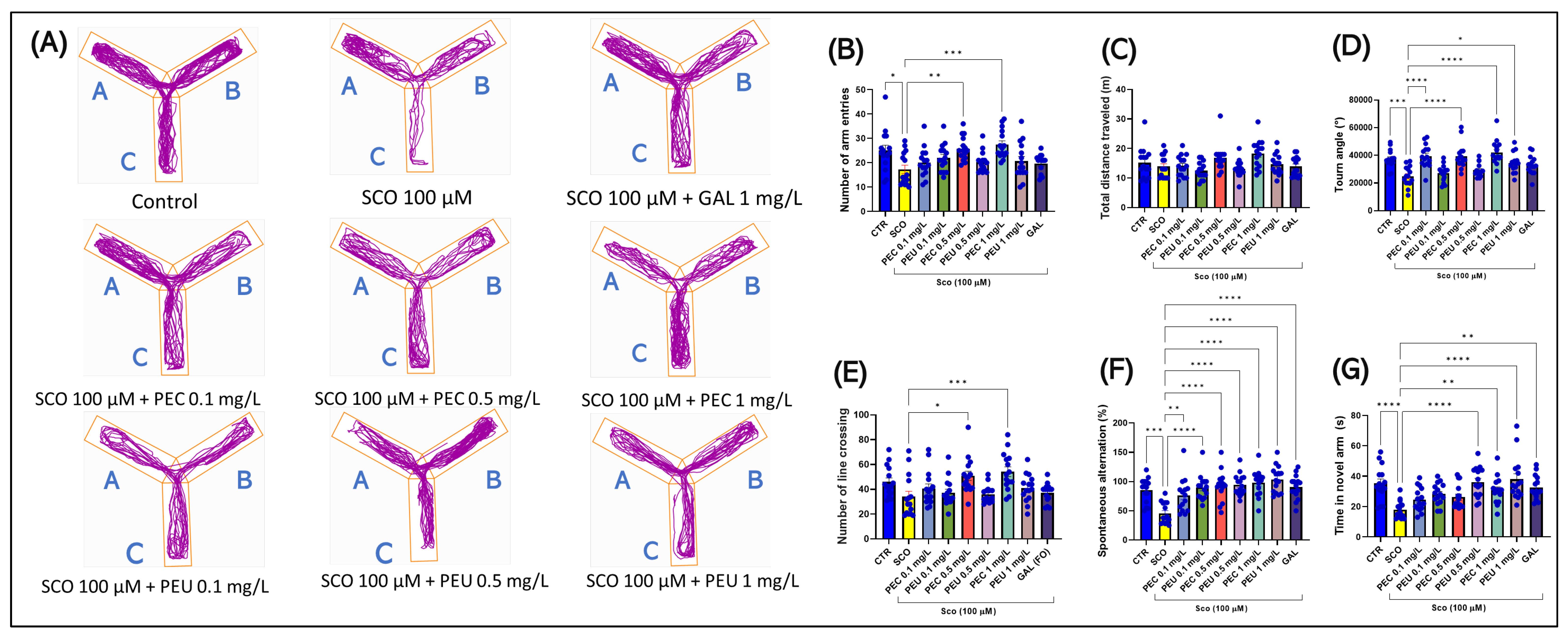 Antioxidants 14 00097 g013