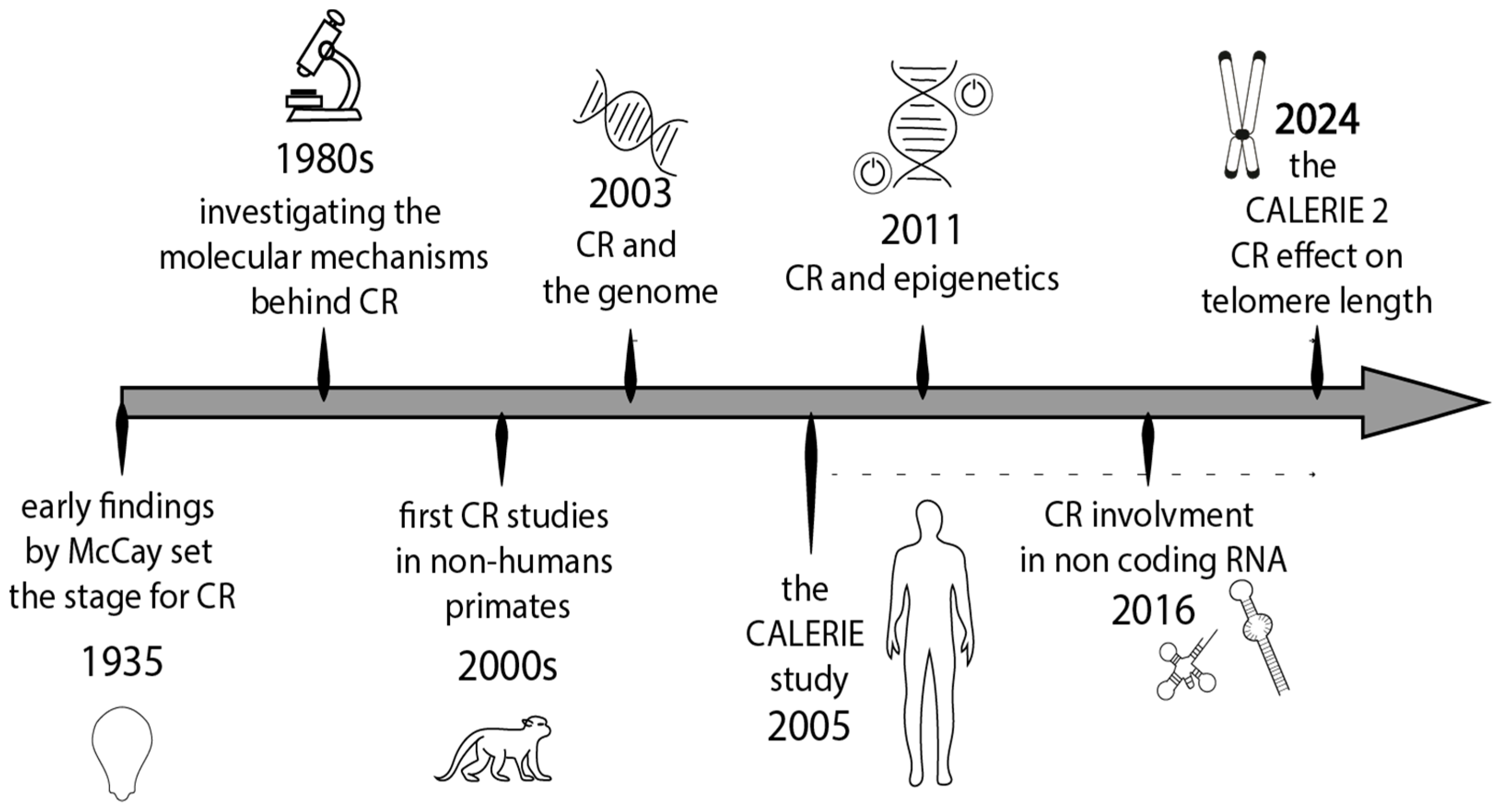 Antioxidants 14 00099 g004