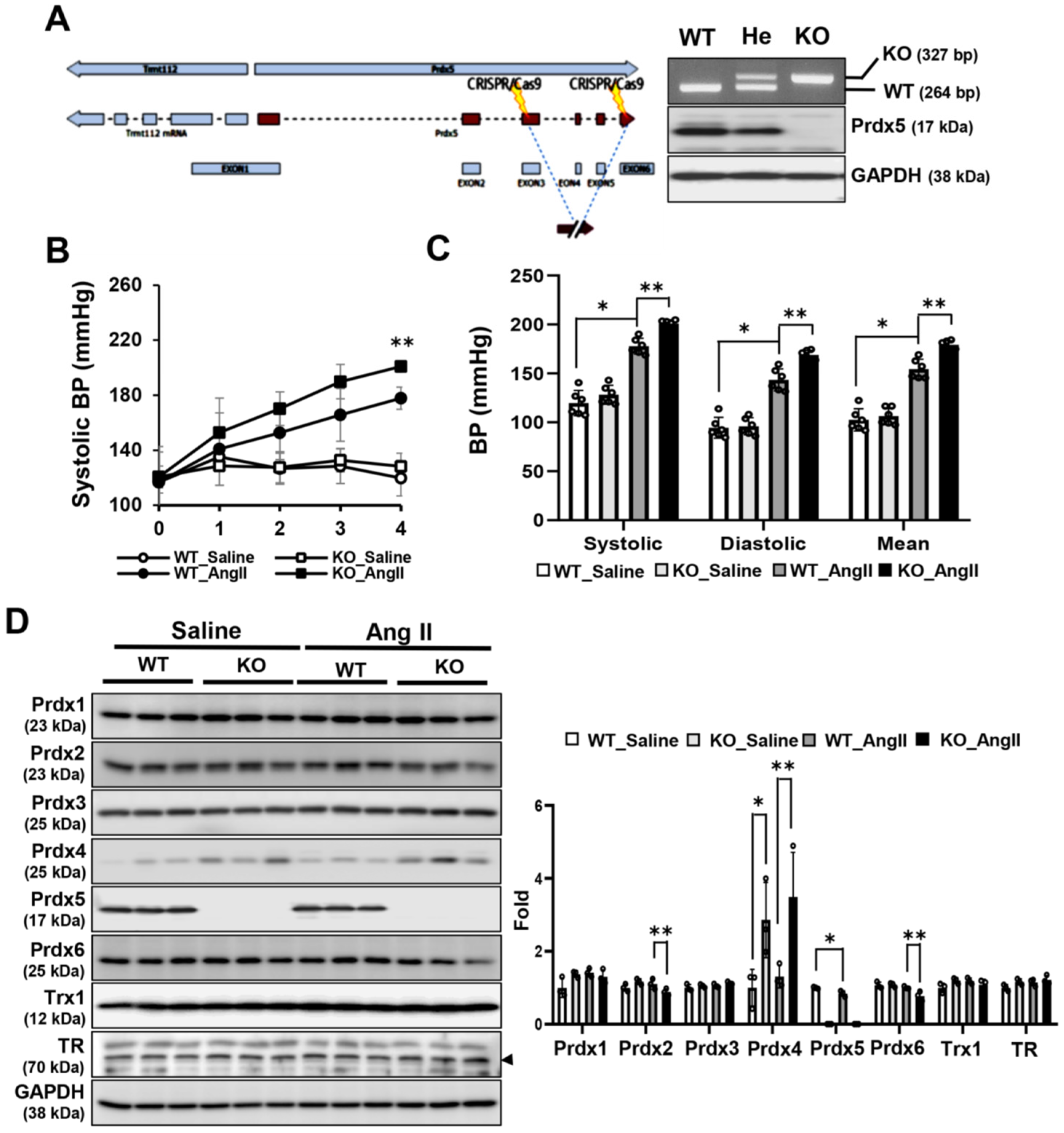 Antioxidants 14 00100 g001