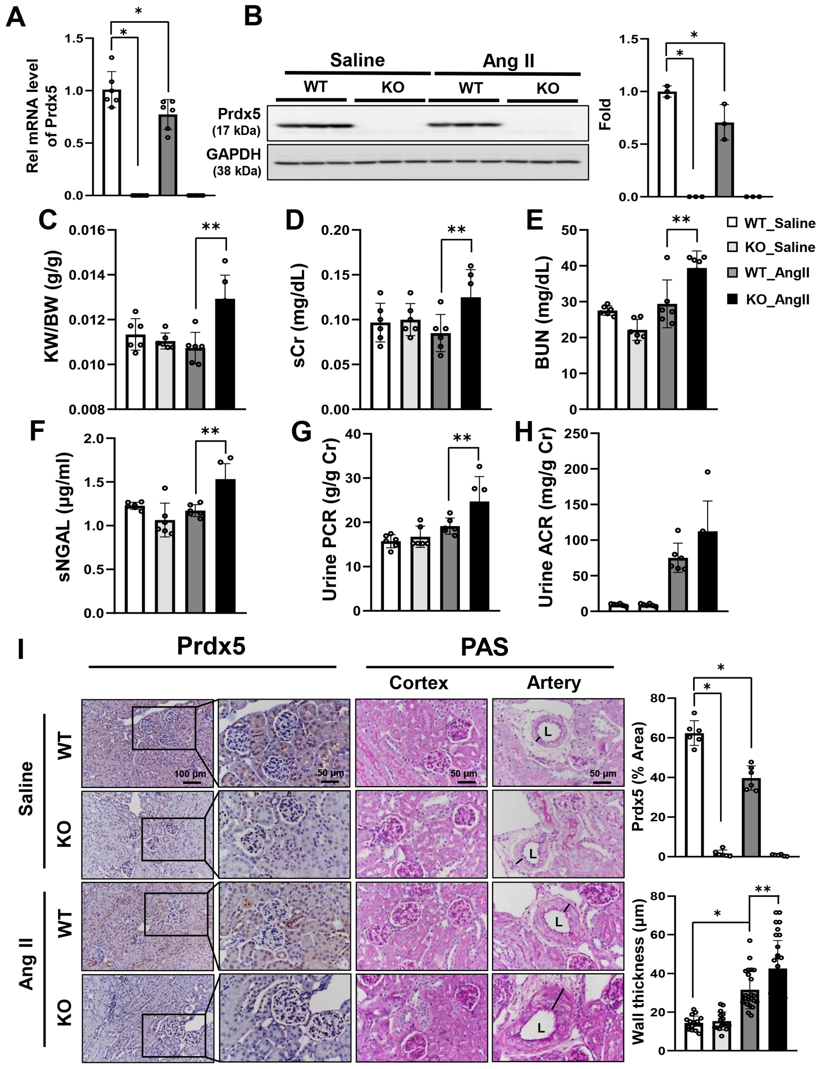 Antioxidants 14 00100 g002