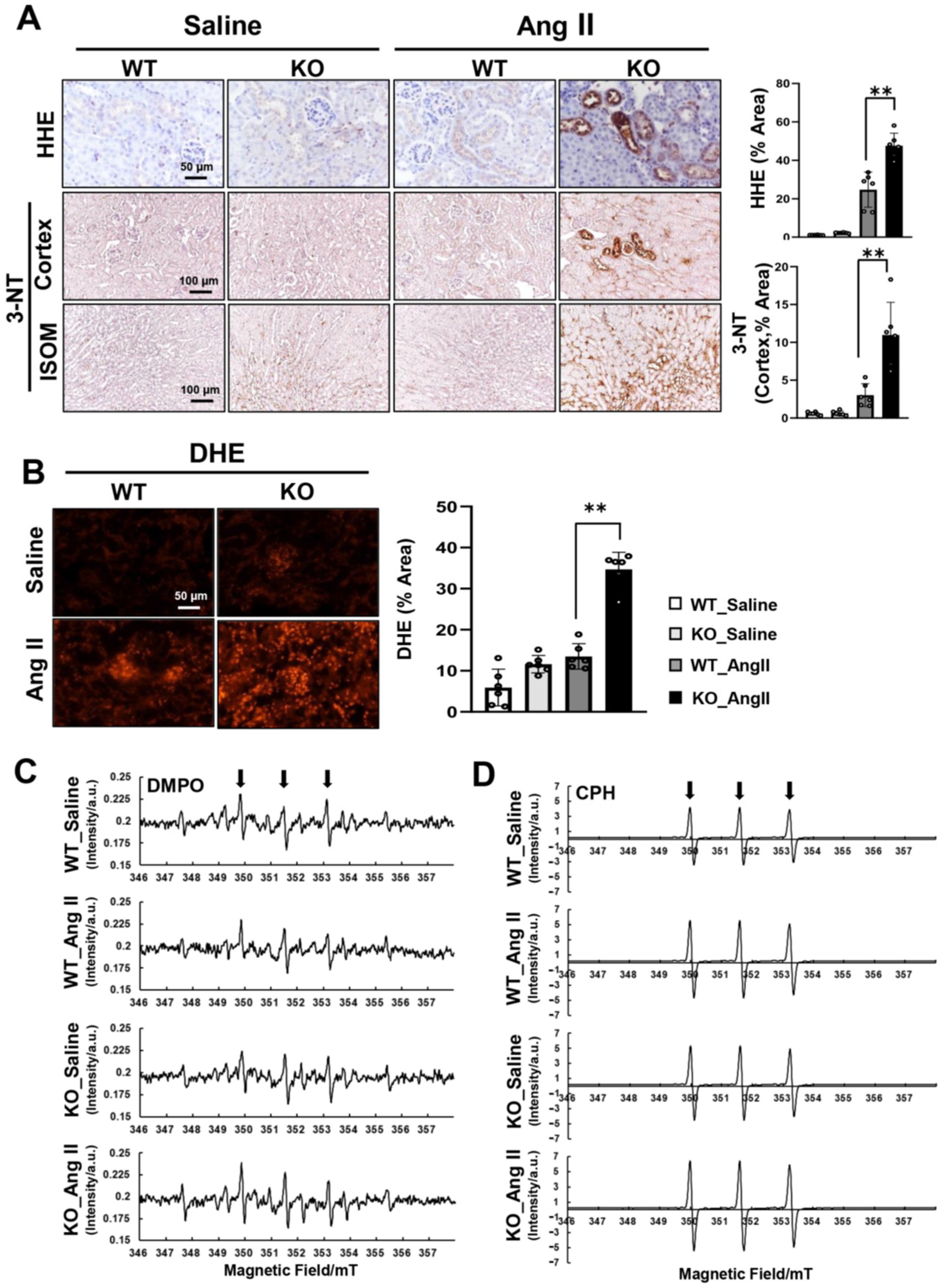 Antioxidants 14 00100 g003