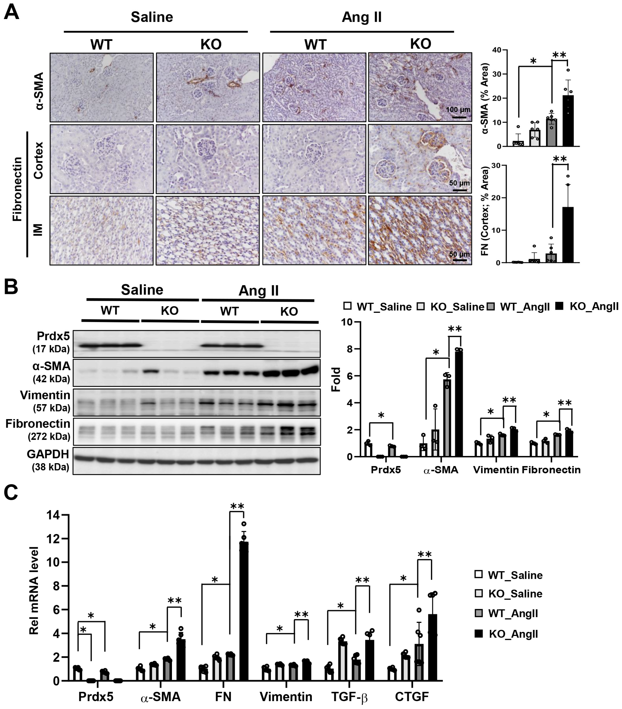 Antioxidants 14 00100 g004