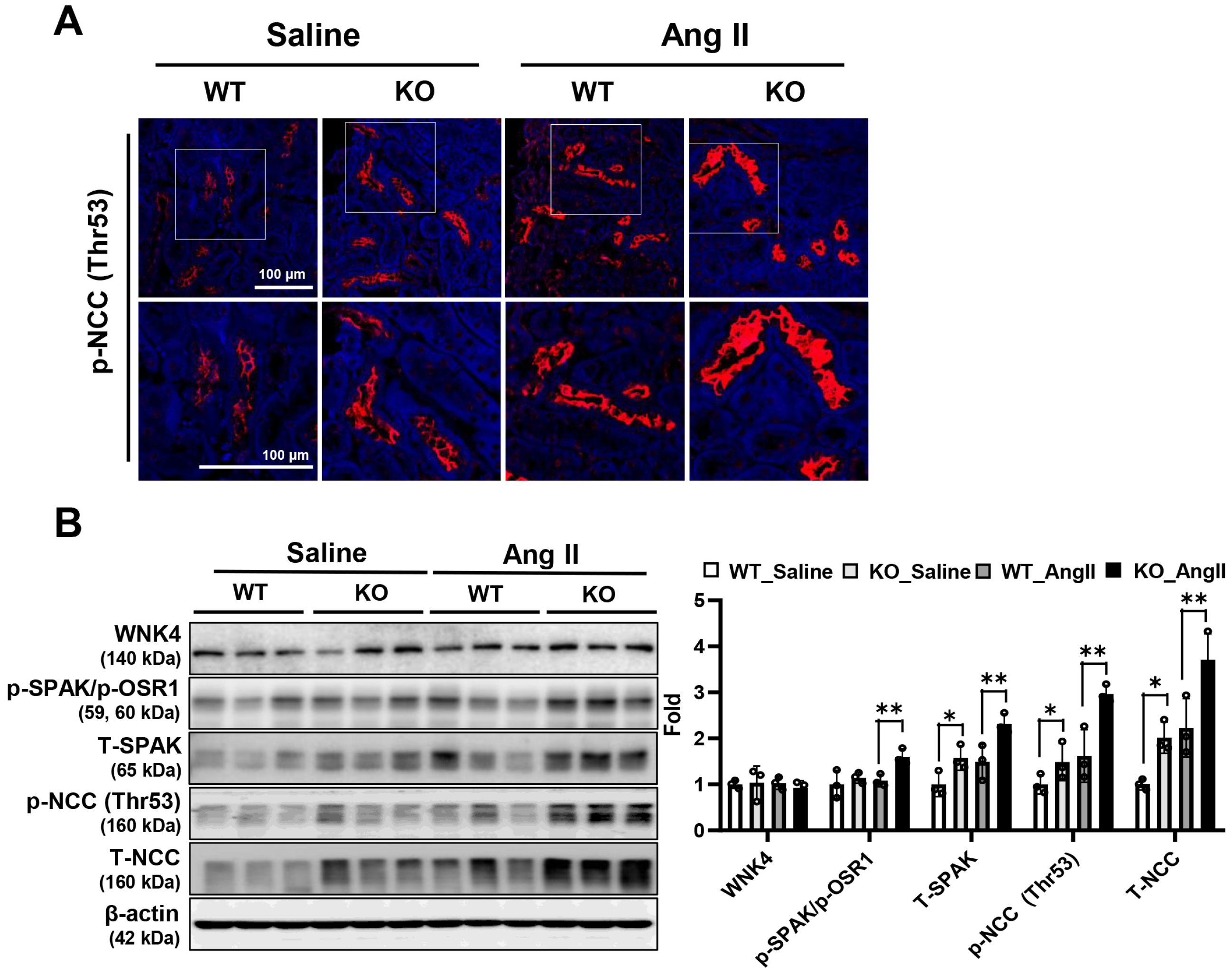 Antioxidants 14 00100 g005
