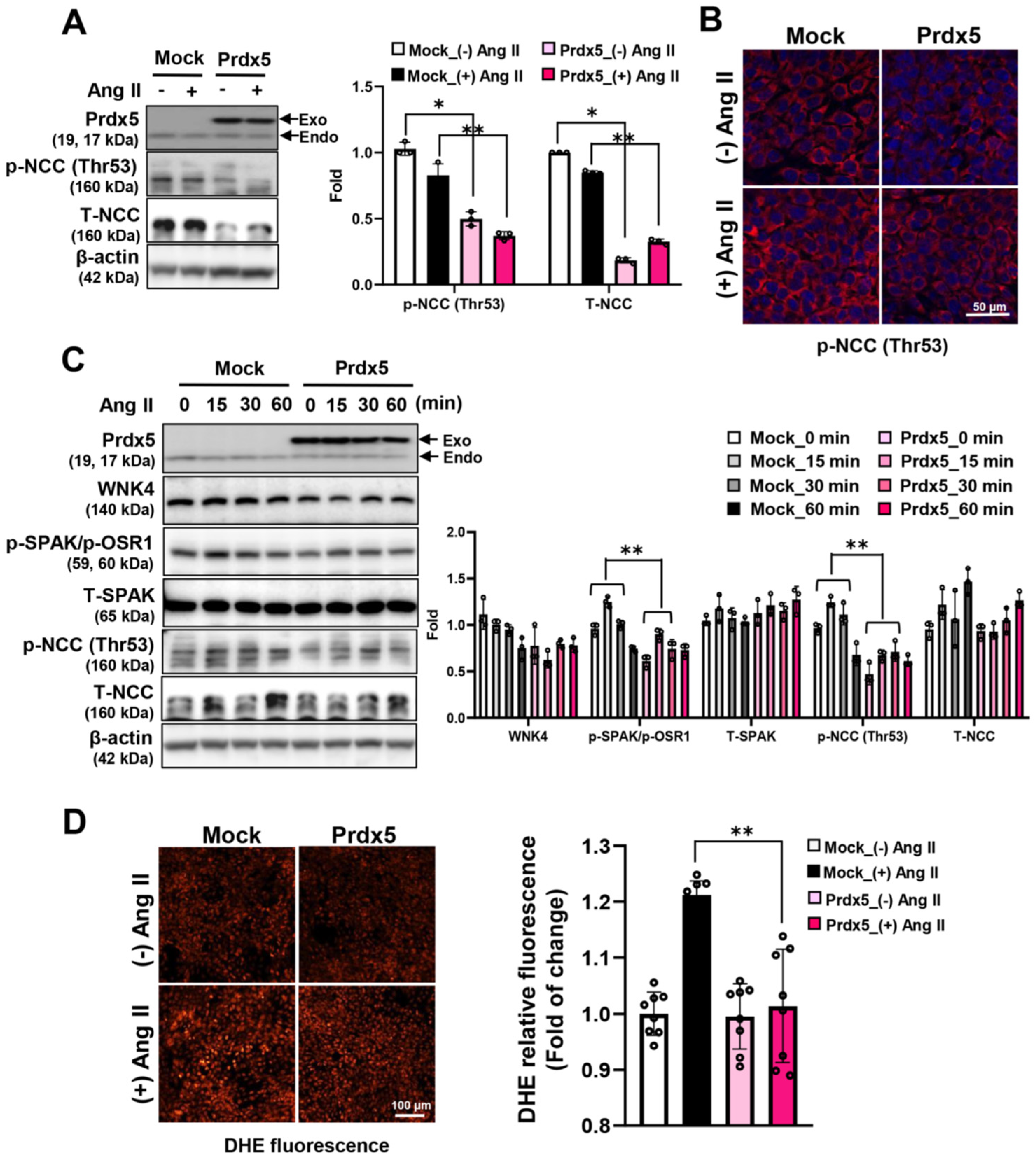 Antioxidants 14 00100 g006