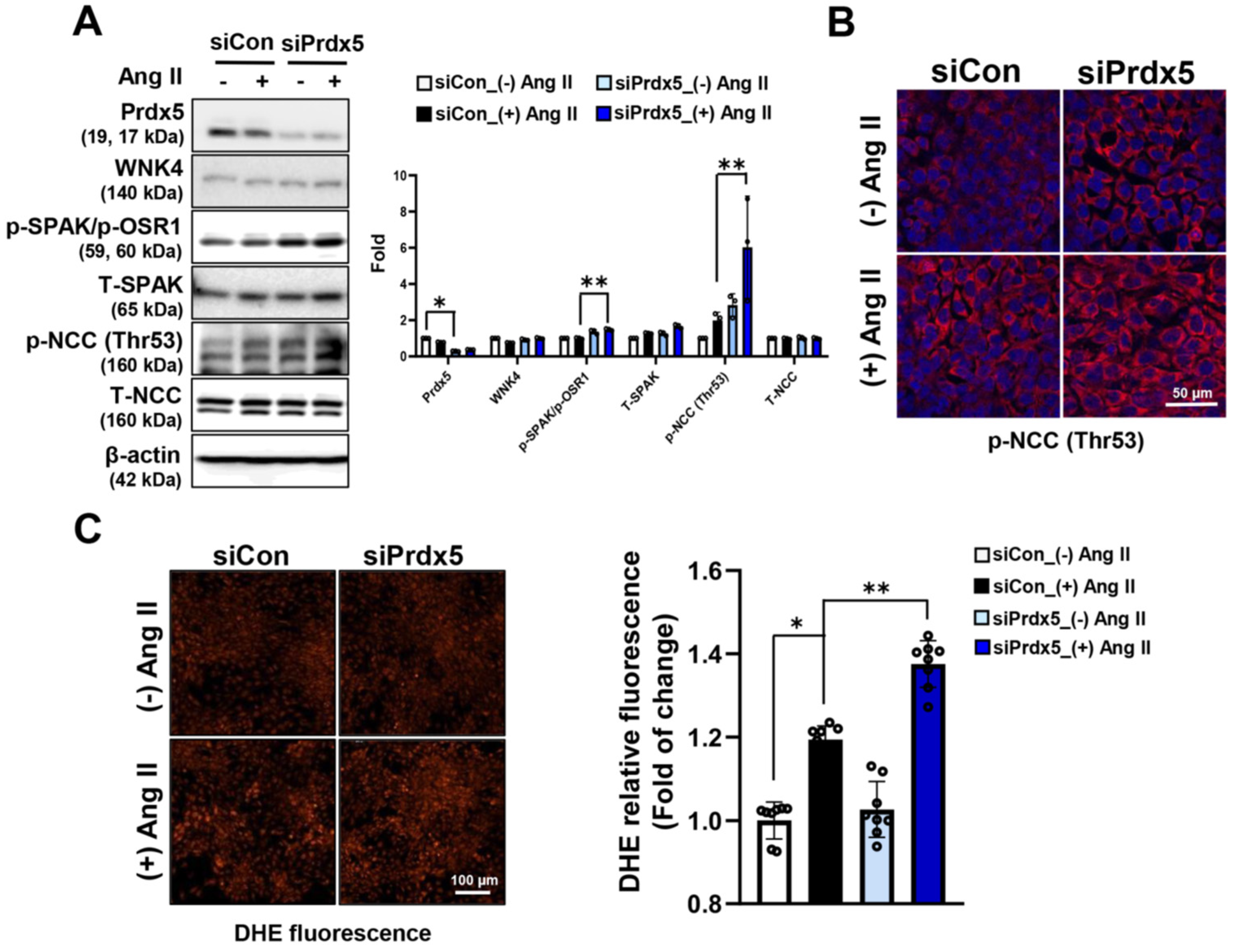 Antioxidants 14 00100 g007