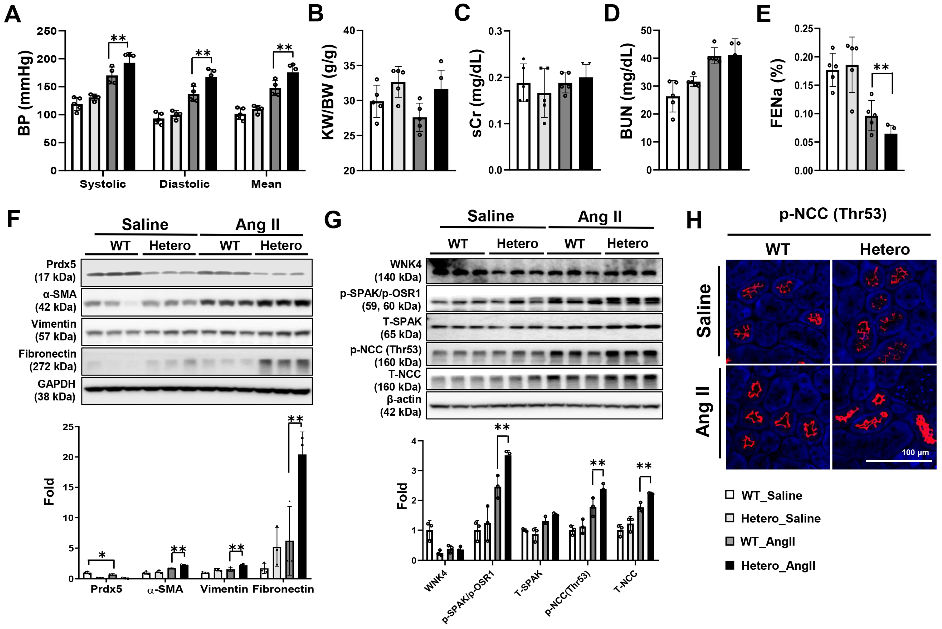 Antioxidants 14 00100 g008