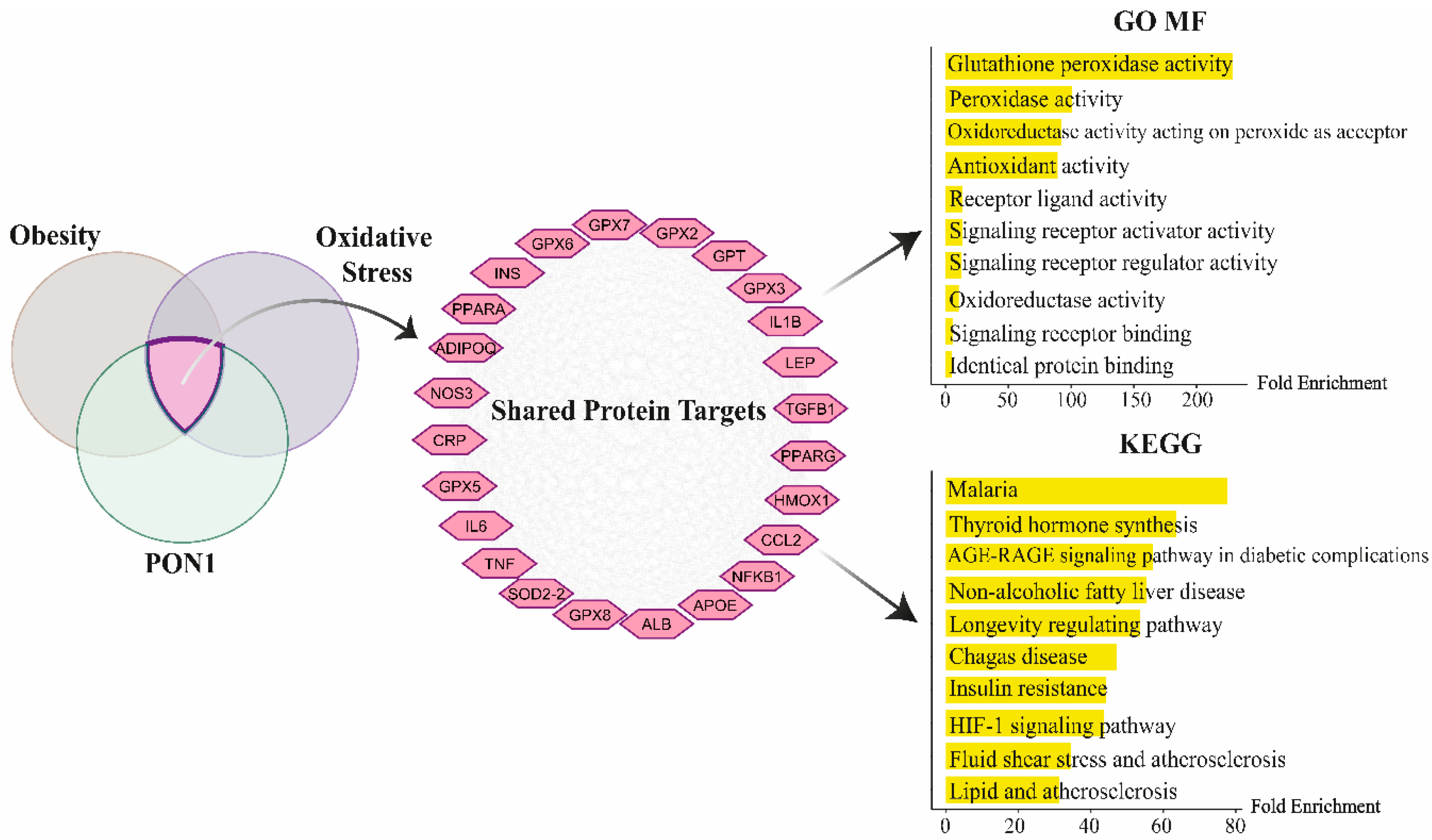 Antioxidants 14 00105 g001
