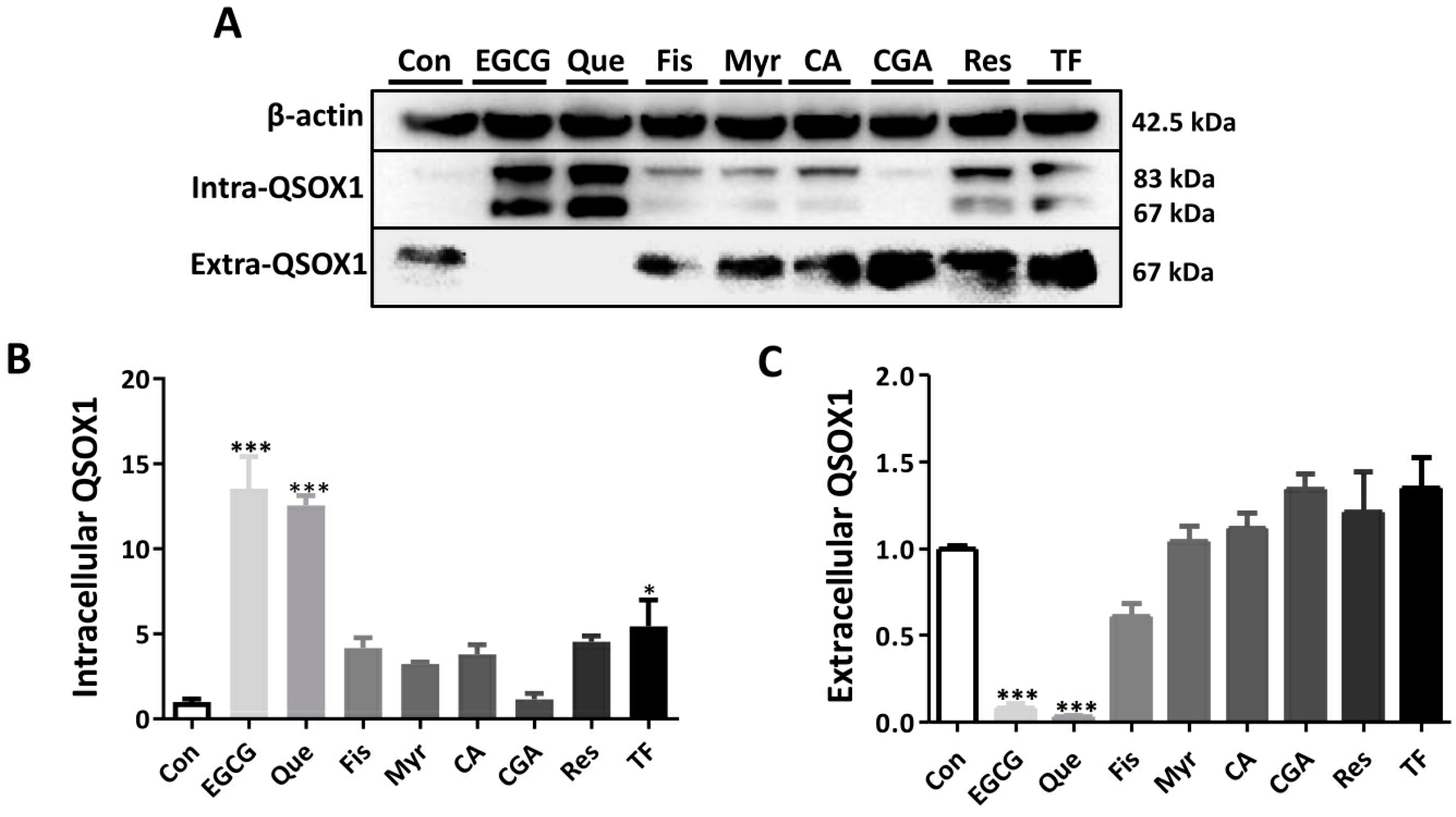 Antioxidants 14 00106 g002