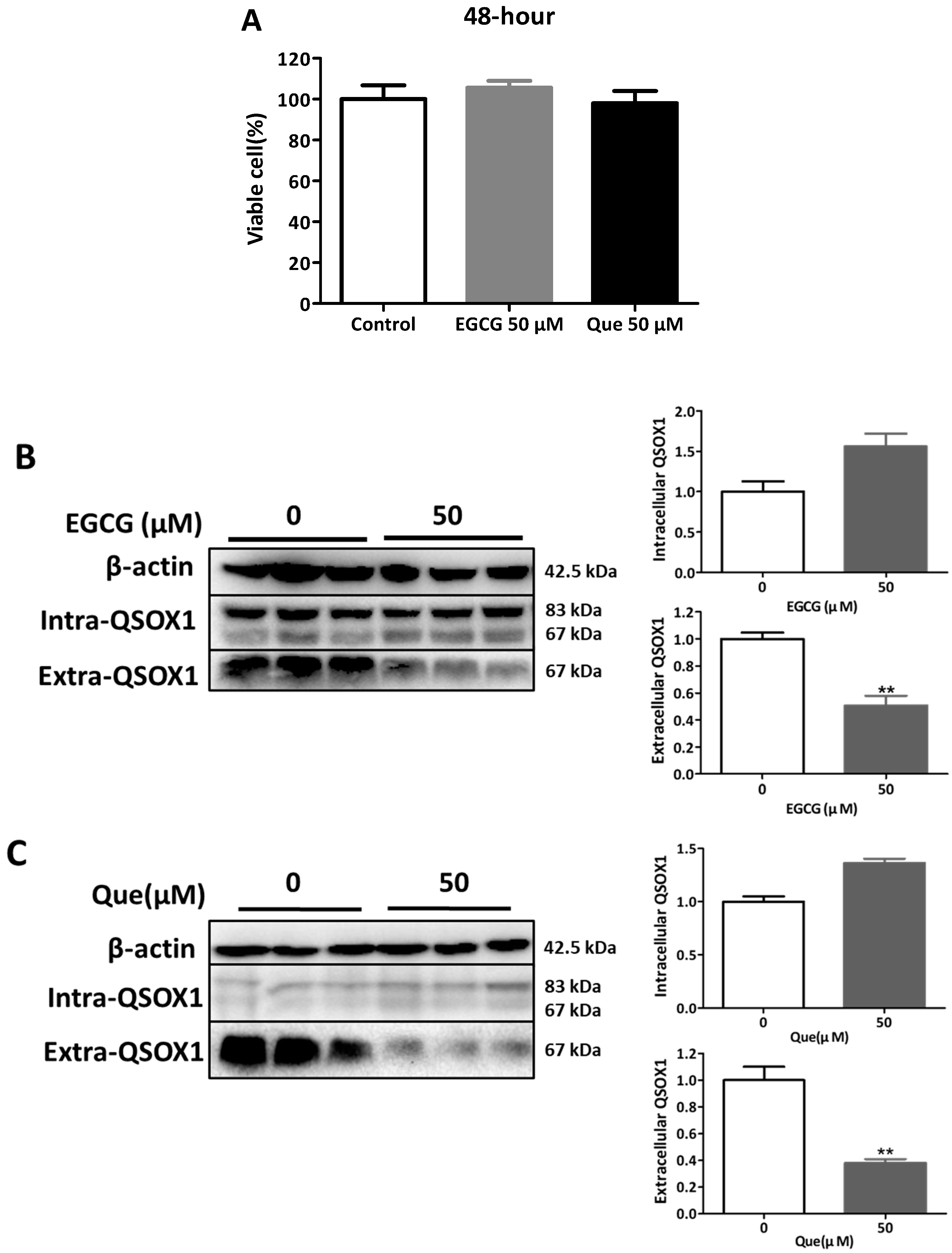 Antioxidants 14 00106 g003