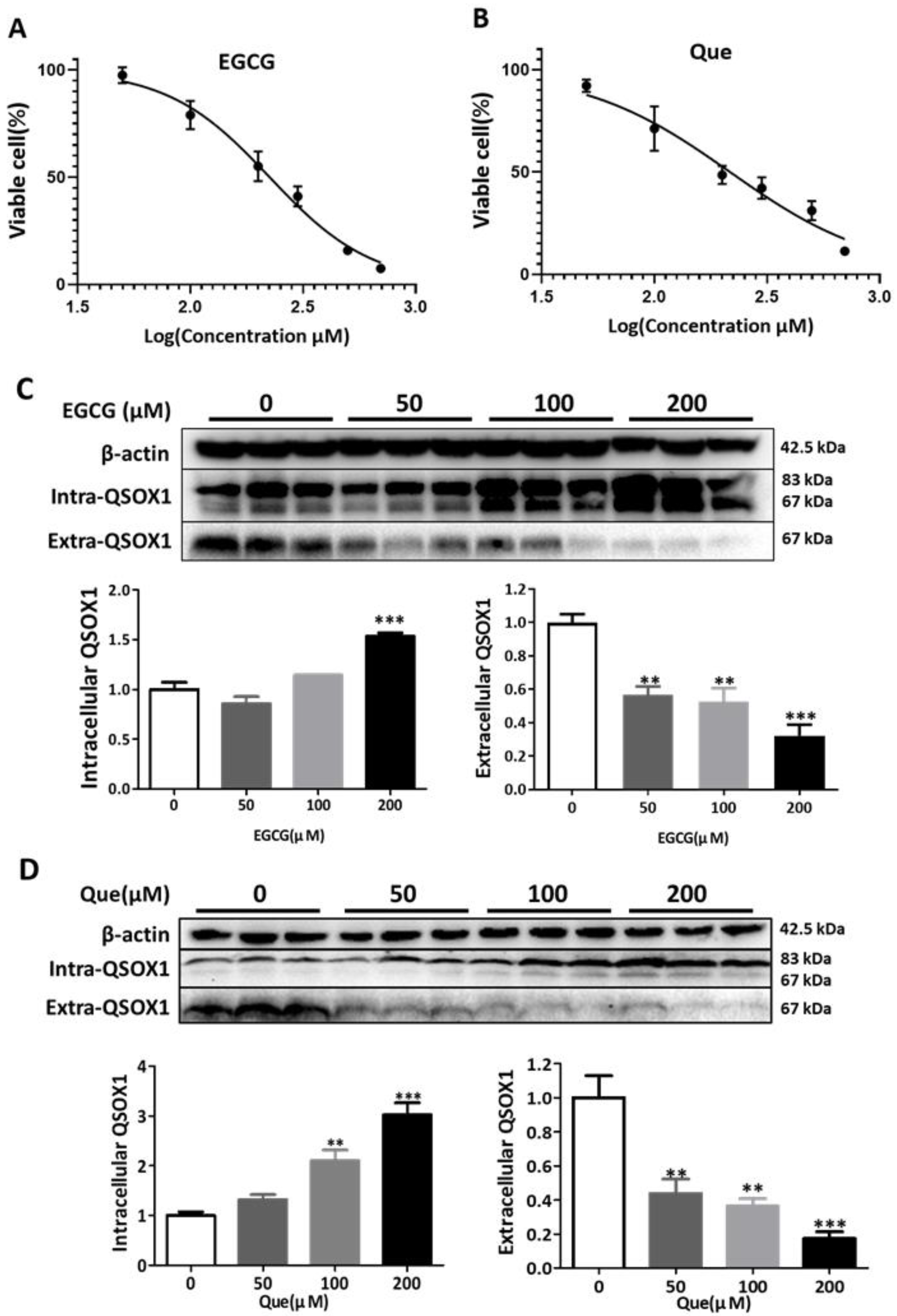 Antioxidants 14 00106 g005