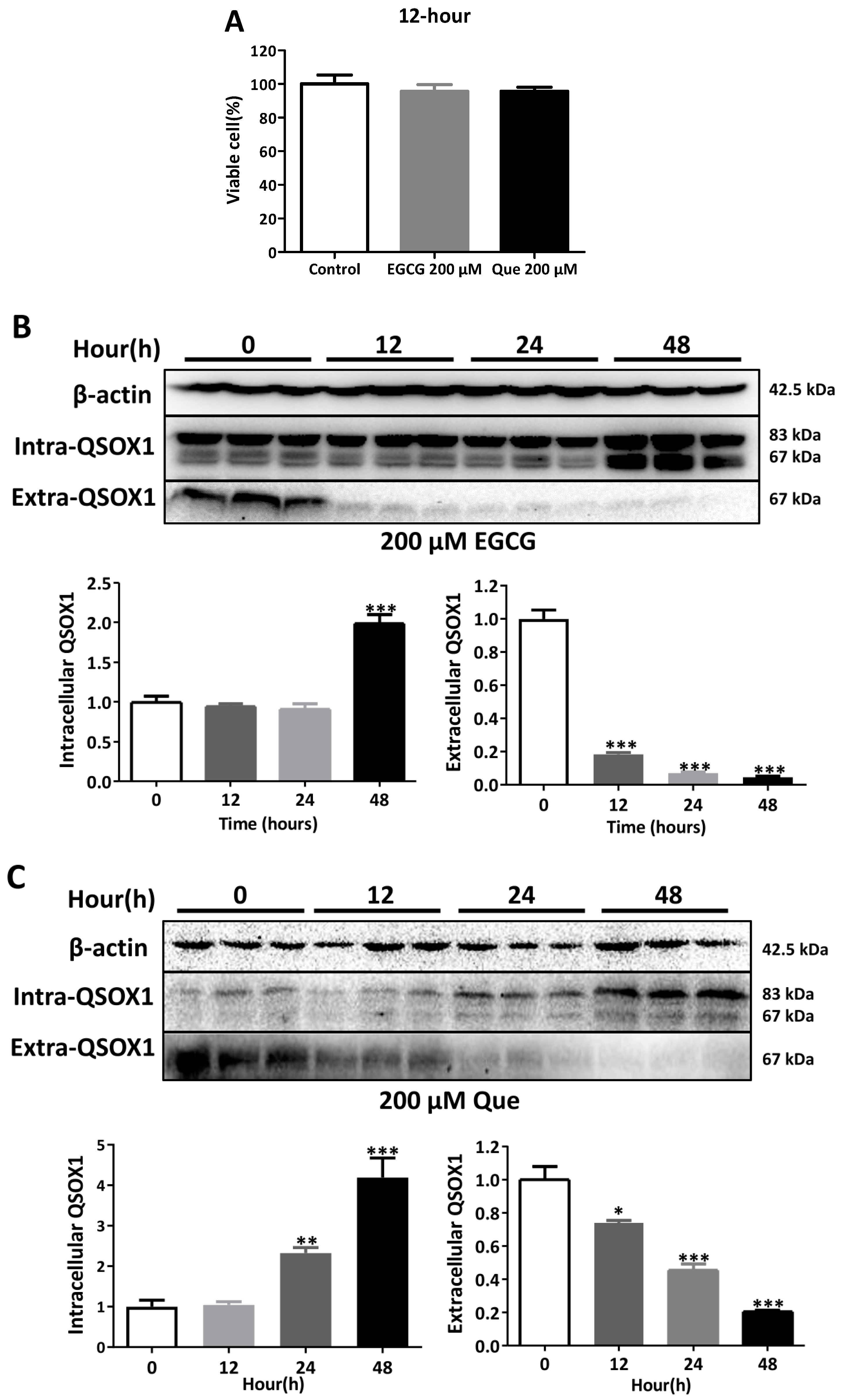 Antioxidants 14 00106 g006