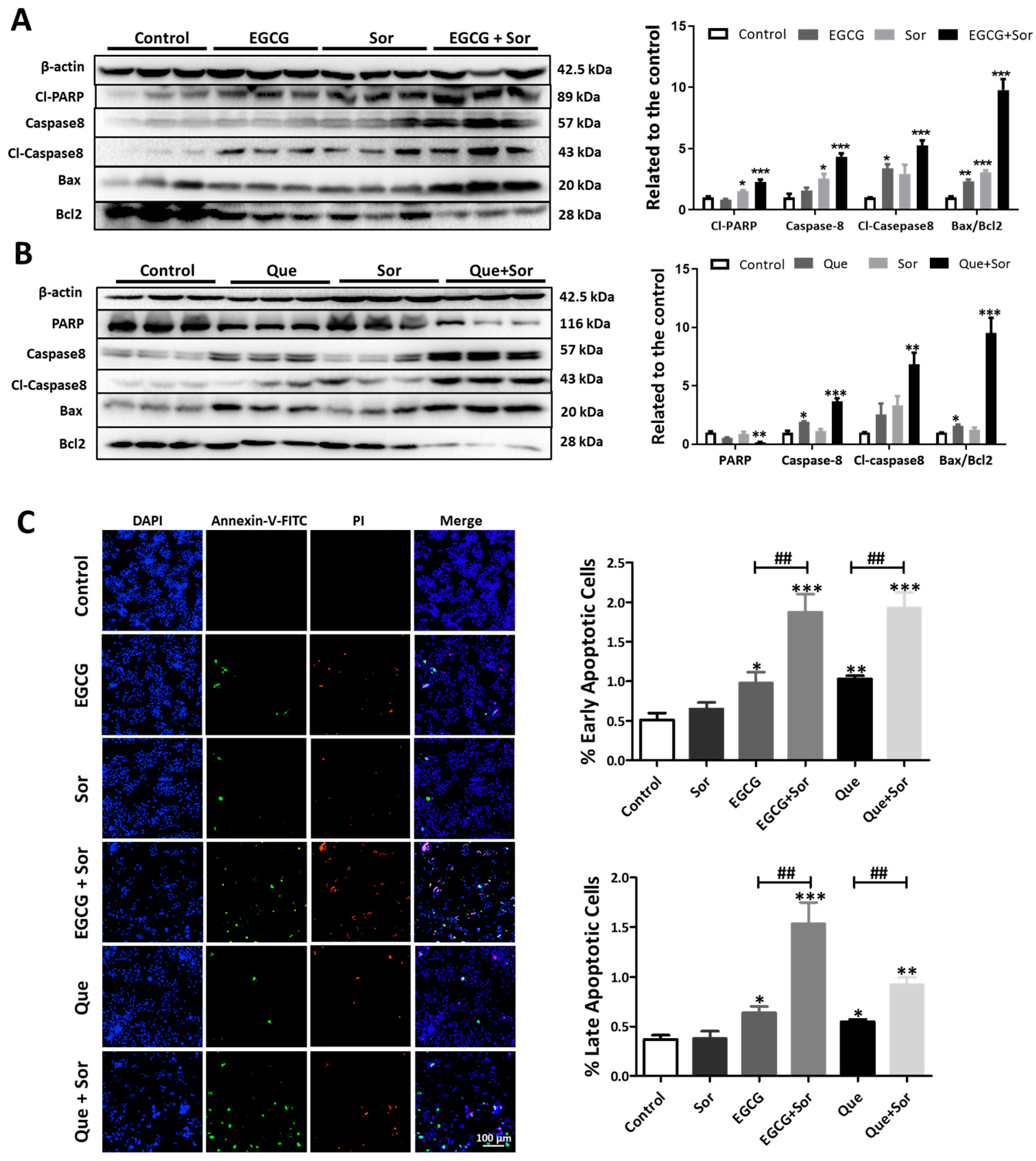 Antioxidants 14 00106 g009