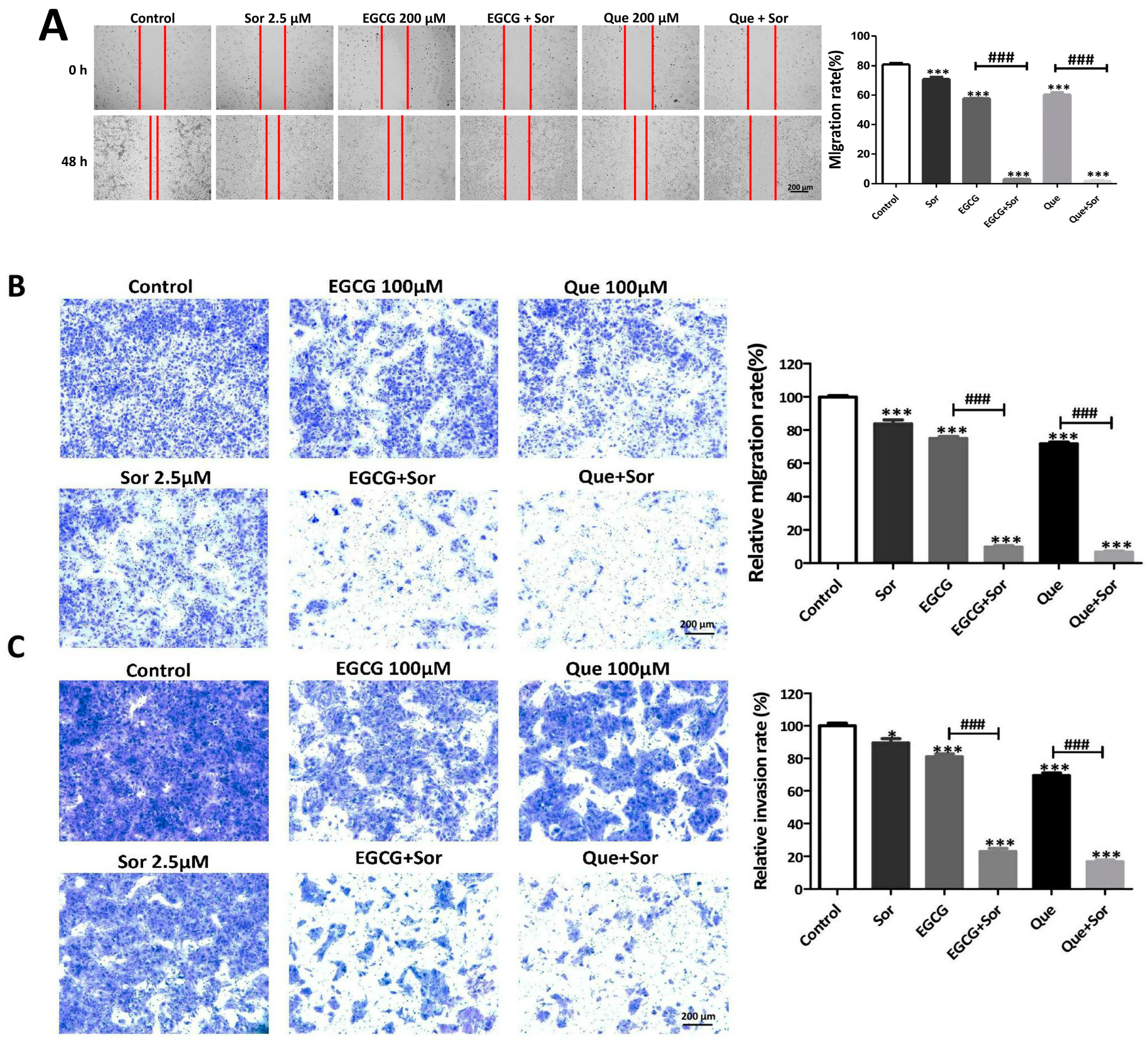 Antioxidants 14 00106 g010