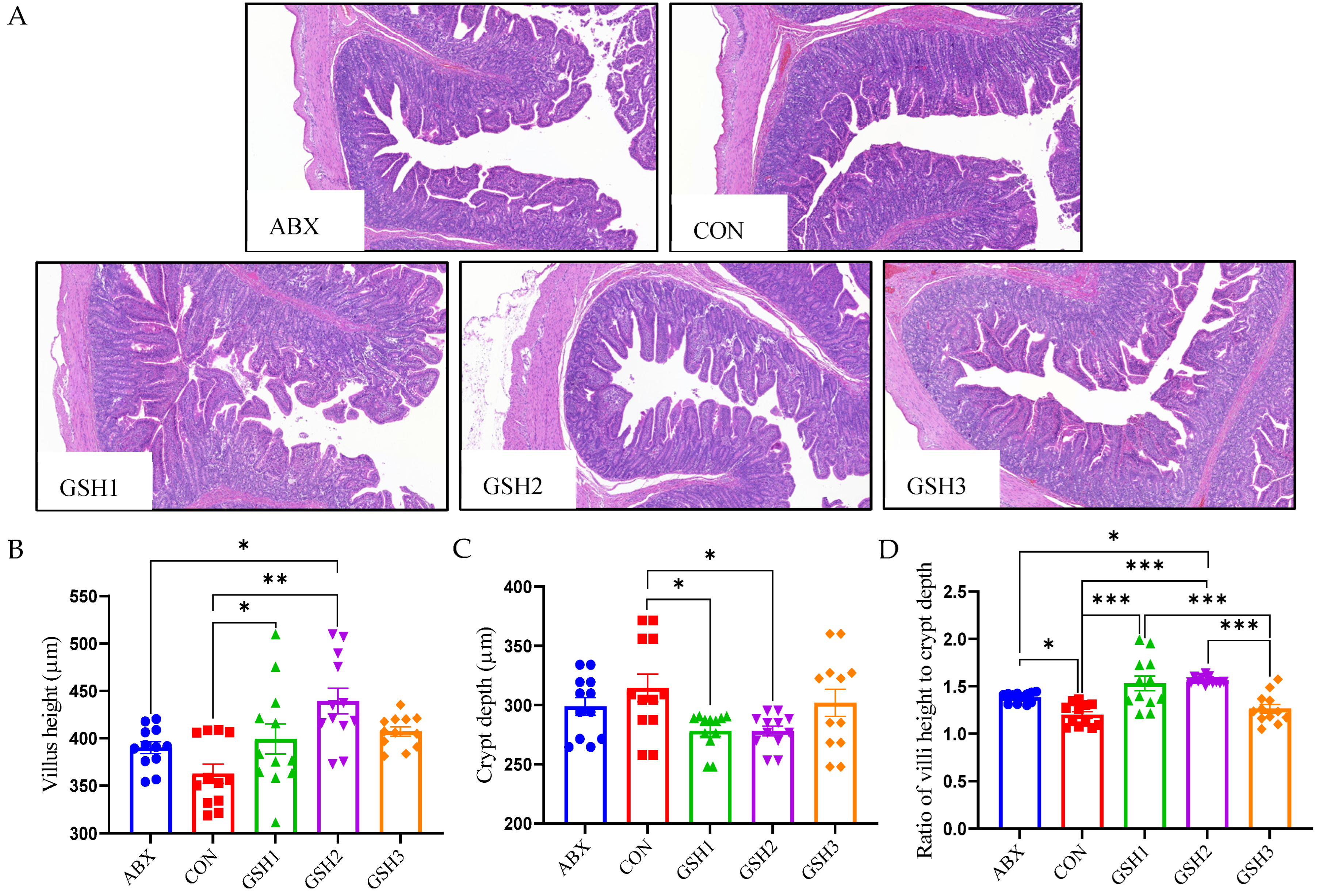 Antioxidants 14 00107 g001