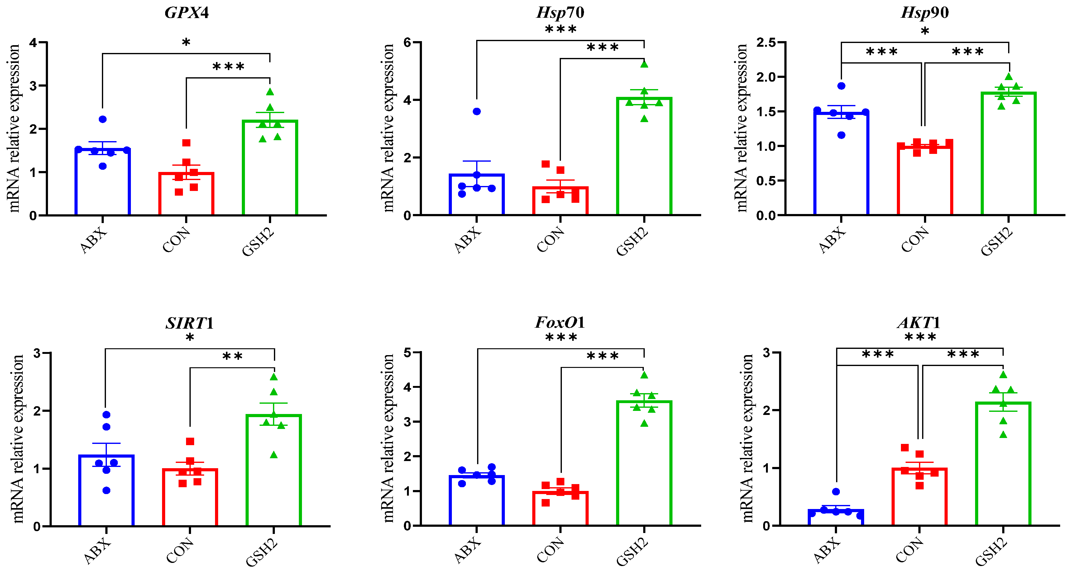 Antioxidants 14 00107 g005