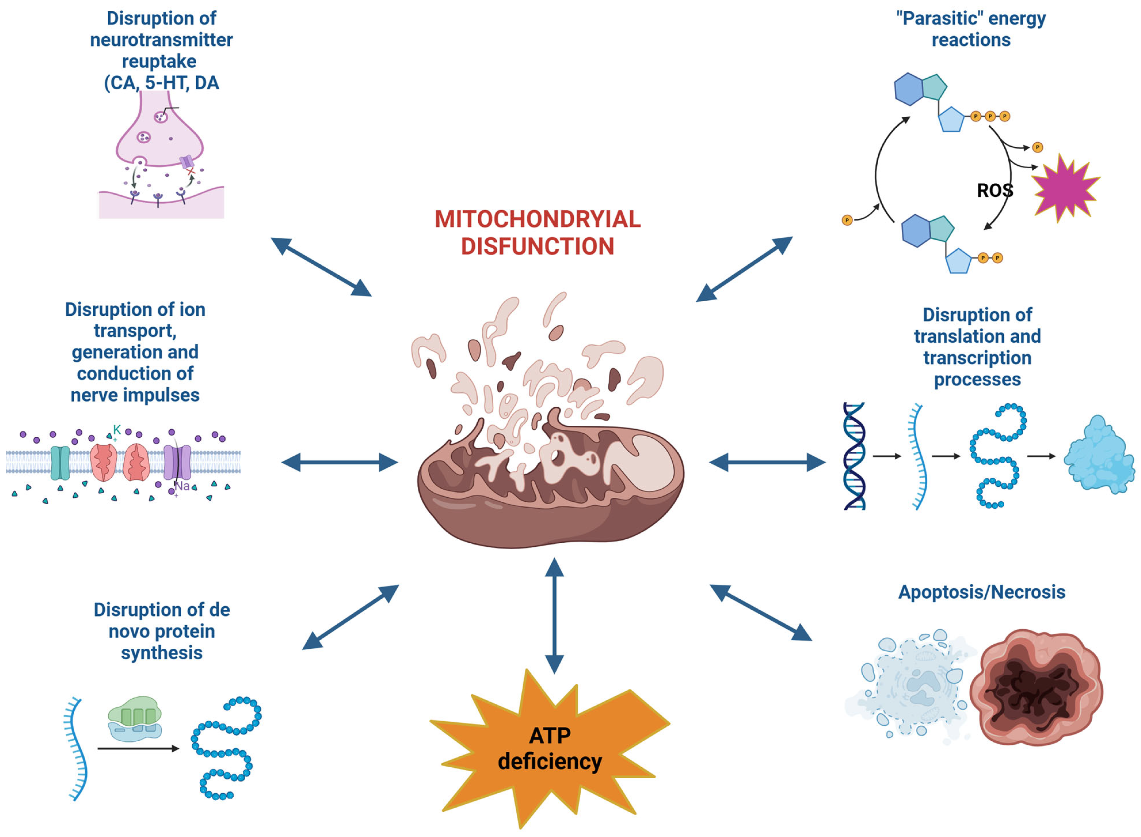 Antioxidants 14 00108 g003 Antioxidants 14 00108 g003