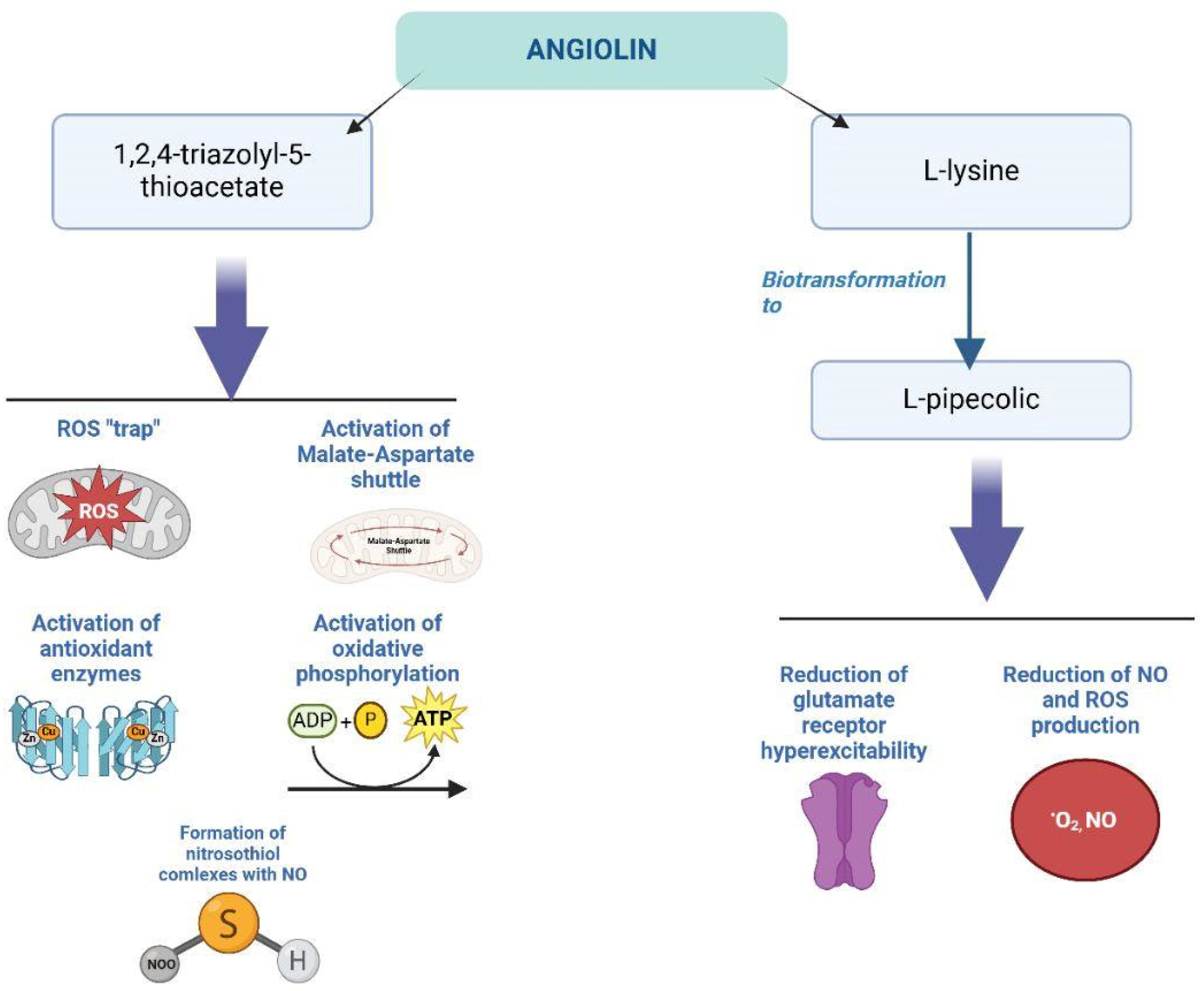 Antioxidants 14 00108 g005 Antioxidants 14 00108 g005