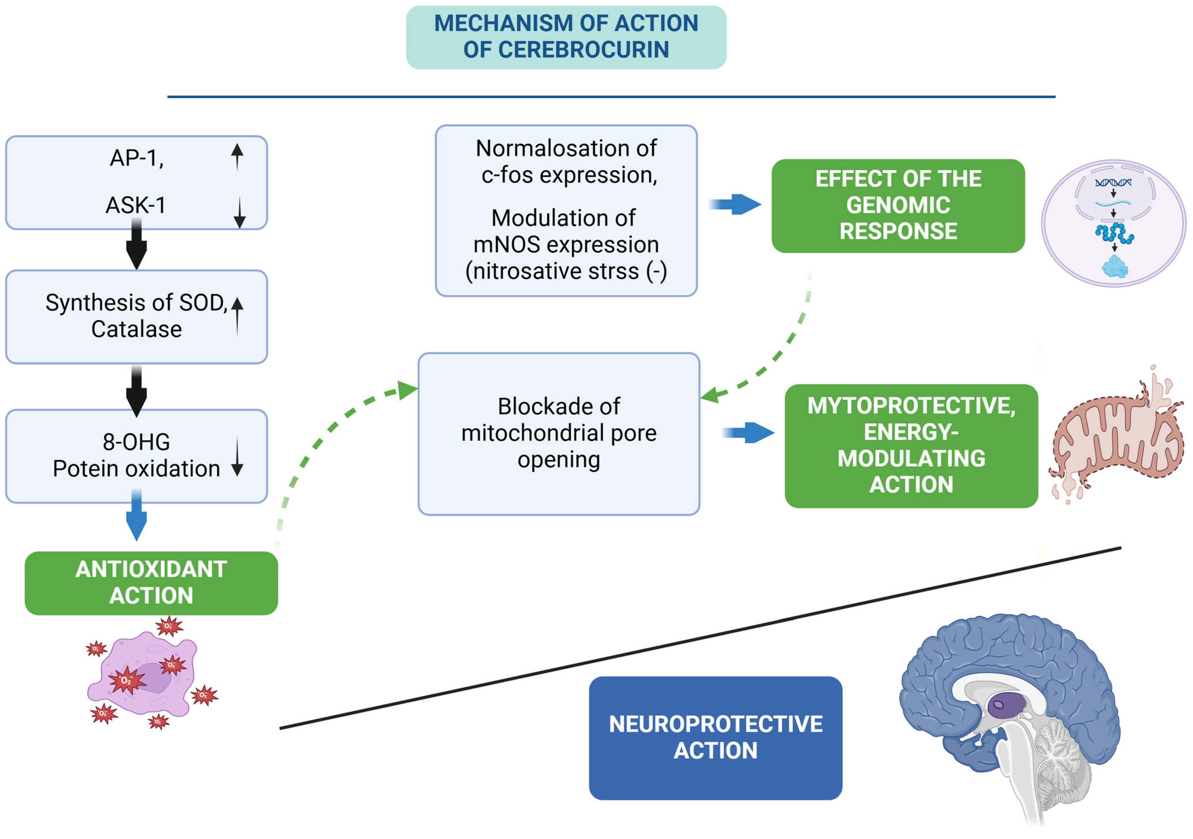 Antioxidants 14 00108 g006 Antioxidants 14 00108 g006