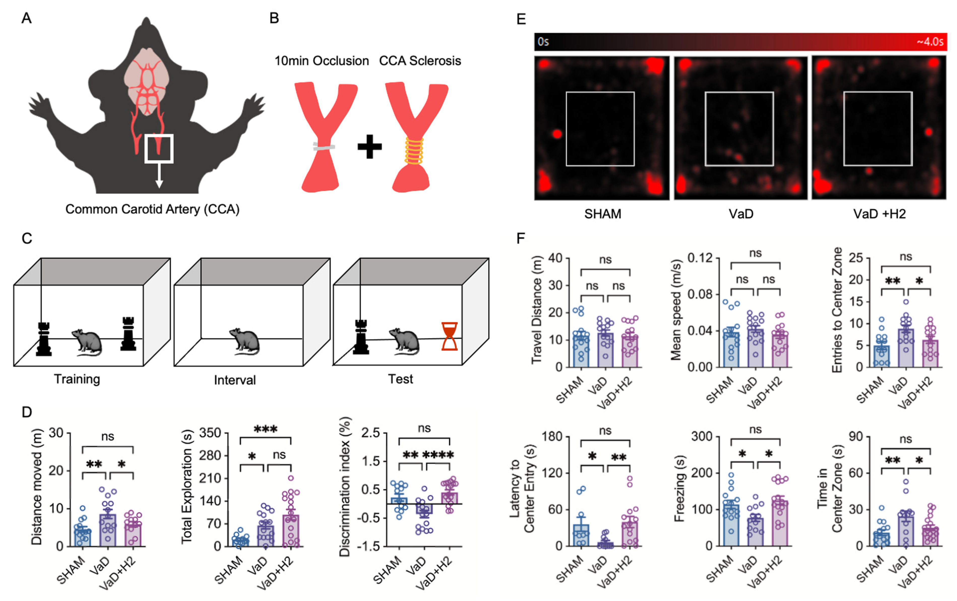 Antioxidants 14 00111 g001