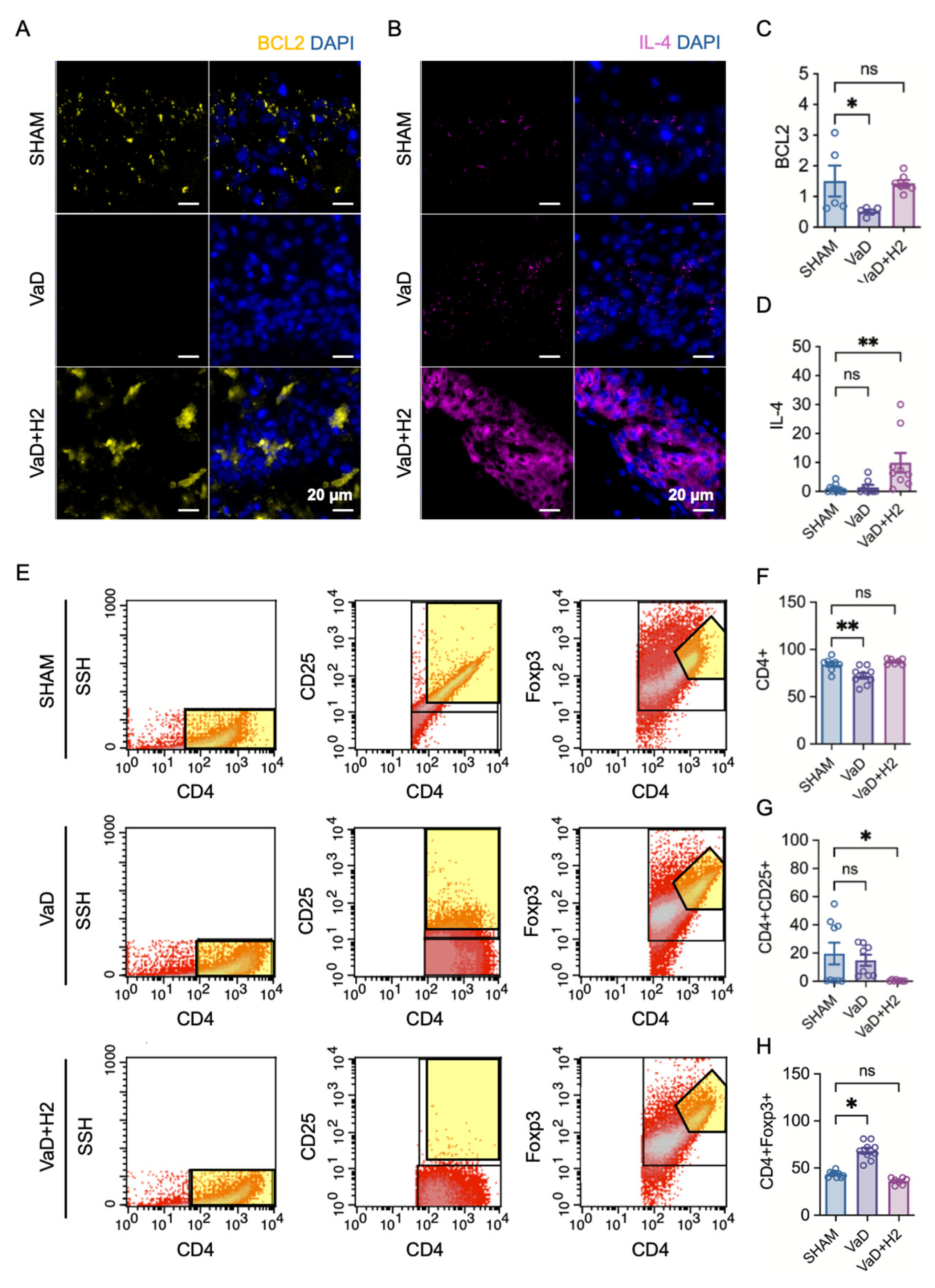 Antioxidants 14 00111 g003