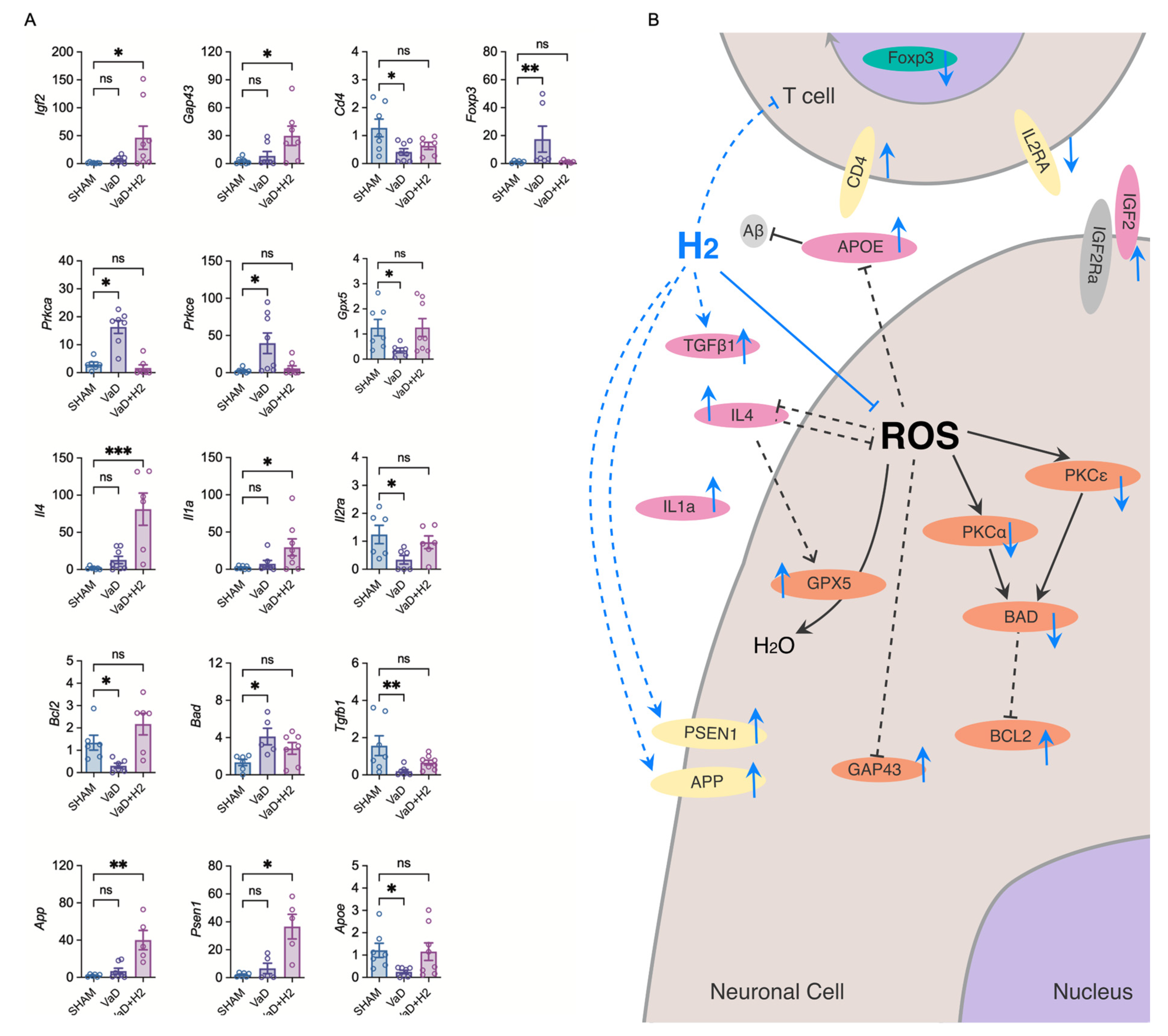 Antioxidants 14 00111 g004