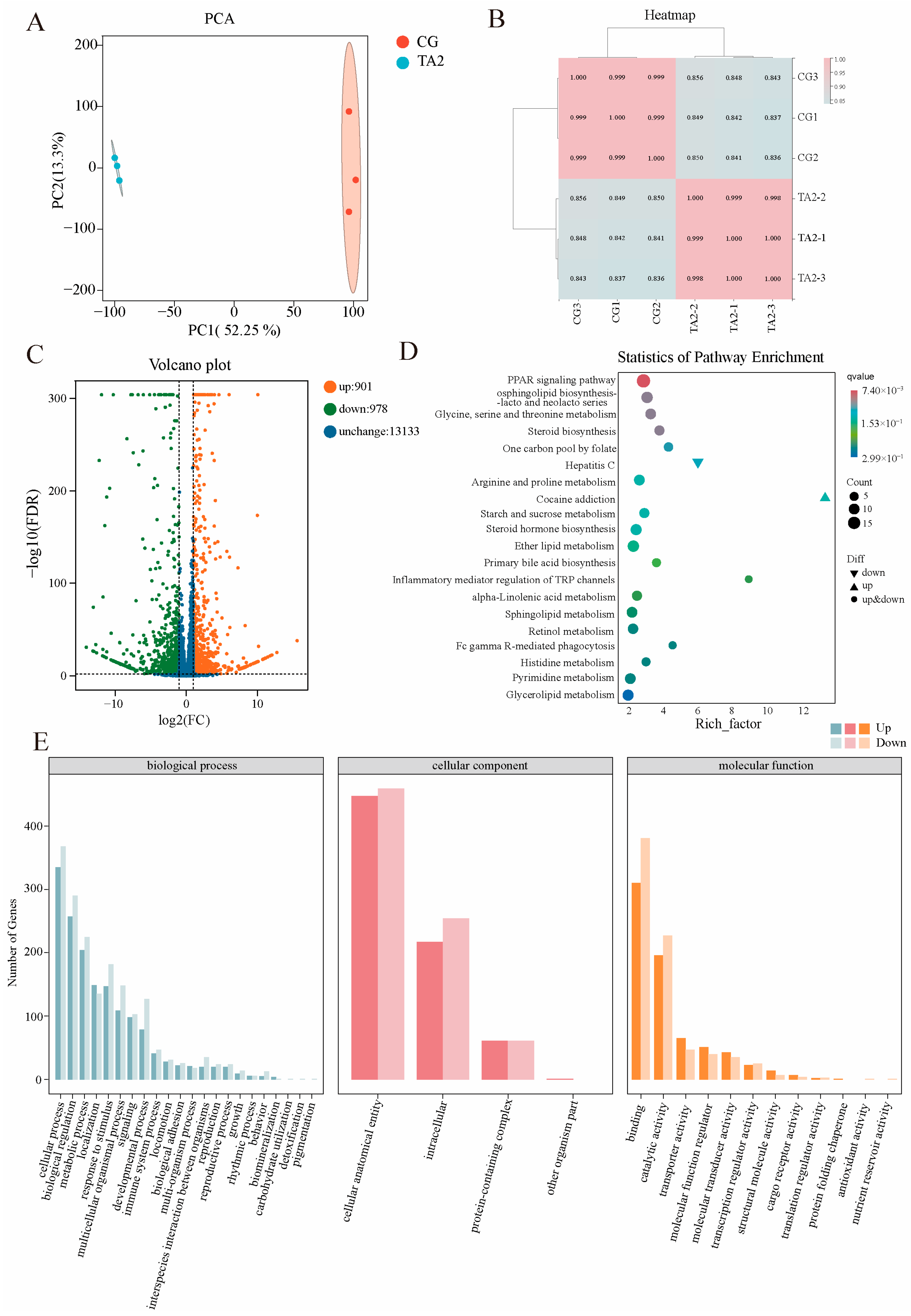 Antioxidants 14 00112 g006