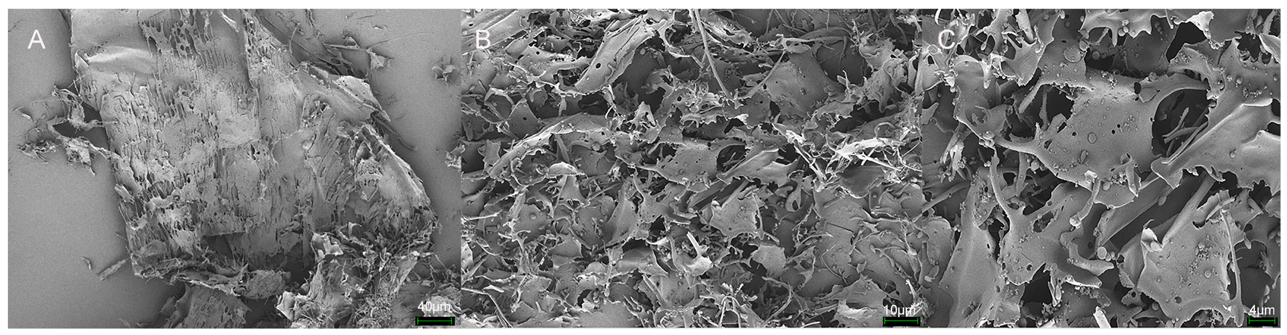 Antioxidants 14 00113 g008