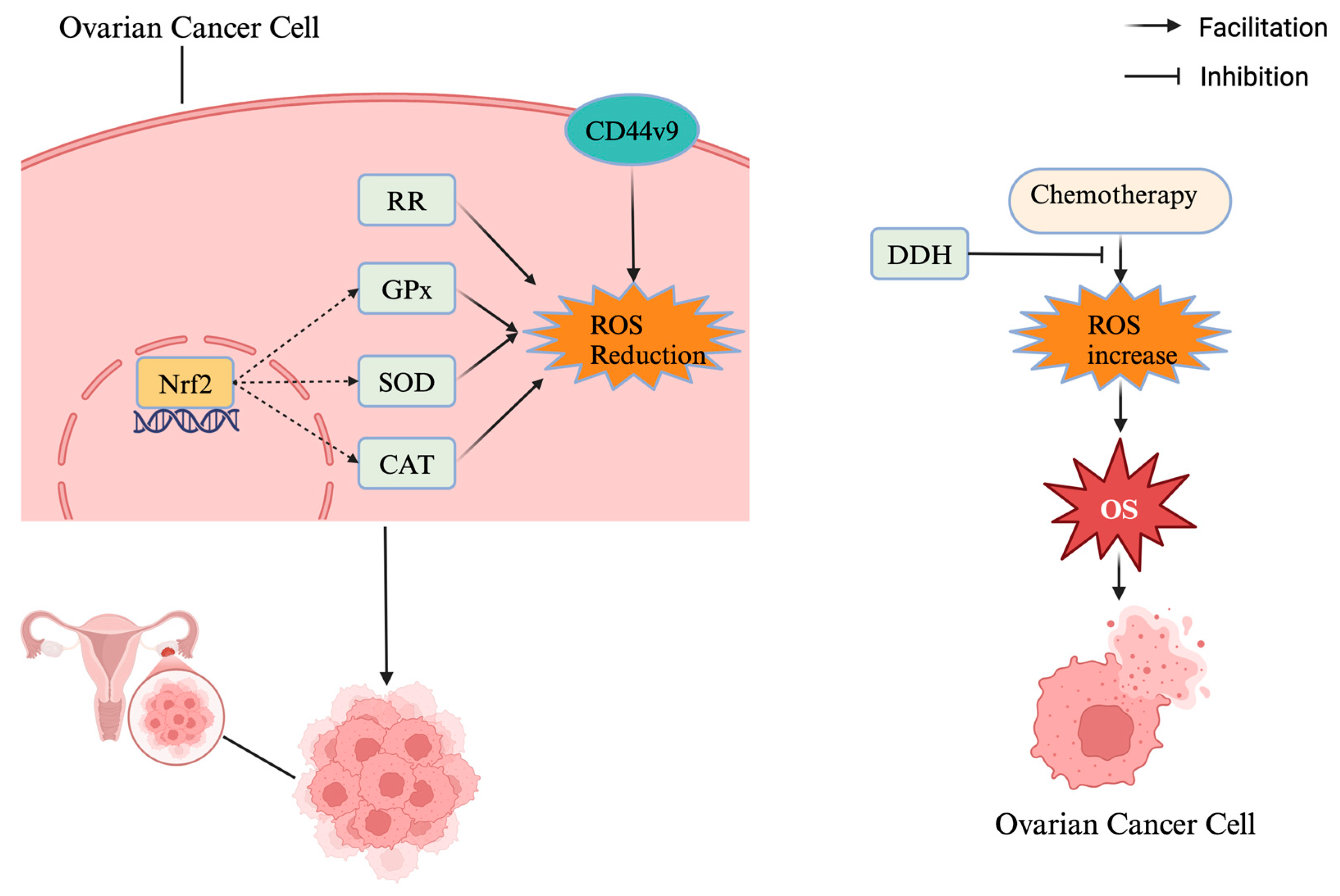 Antioxidants 14 00114 g003