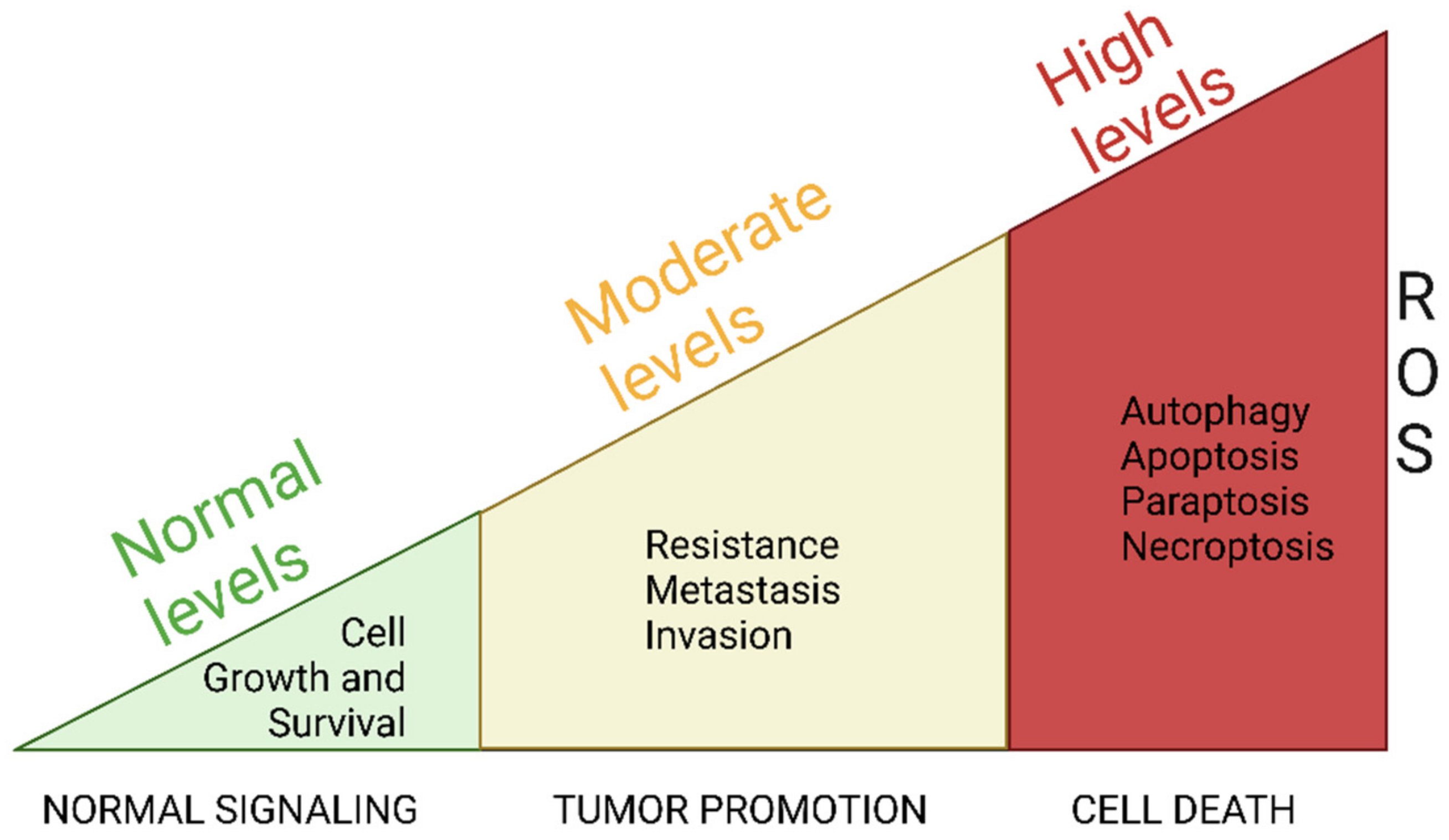 Antioxidants 14 00115 g002
