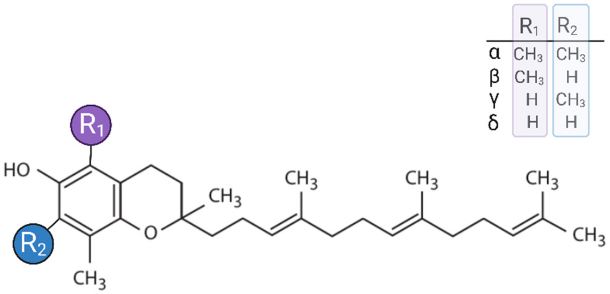 Antioxidants 14 00115 g003