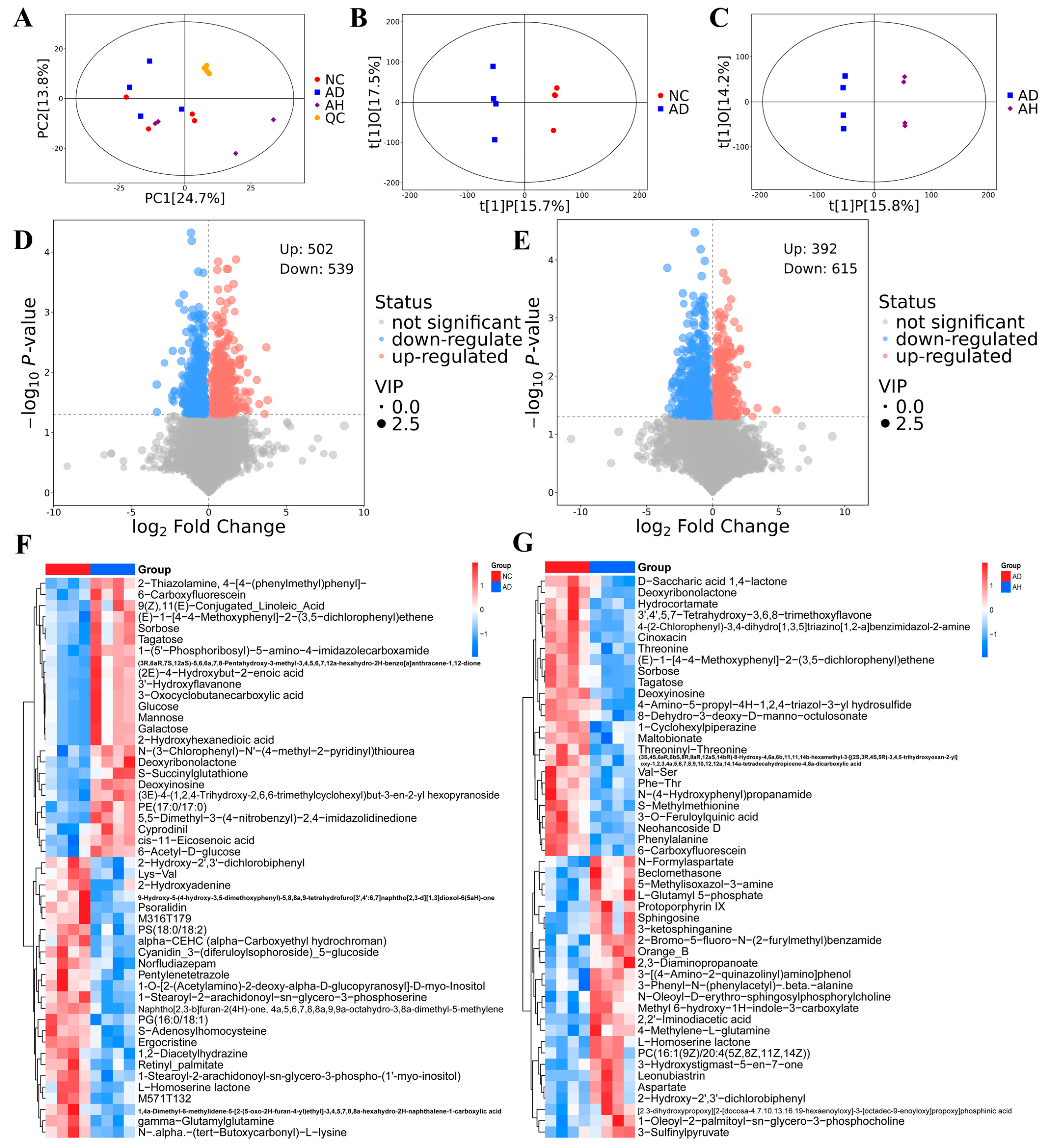 Antioxidants 14 00117 g003